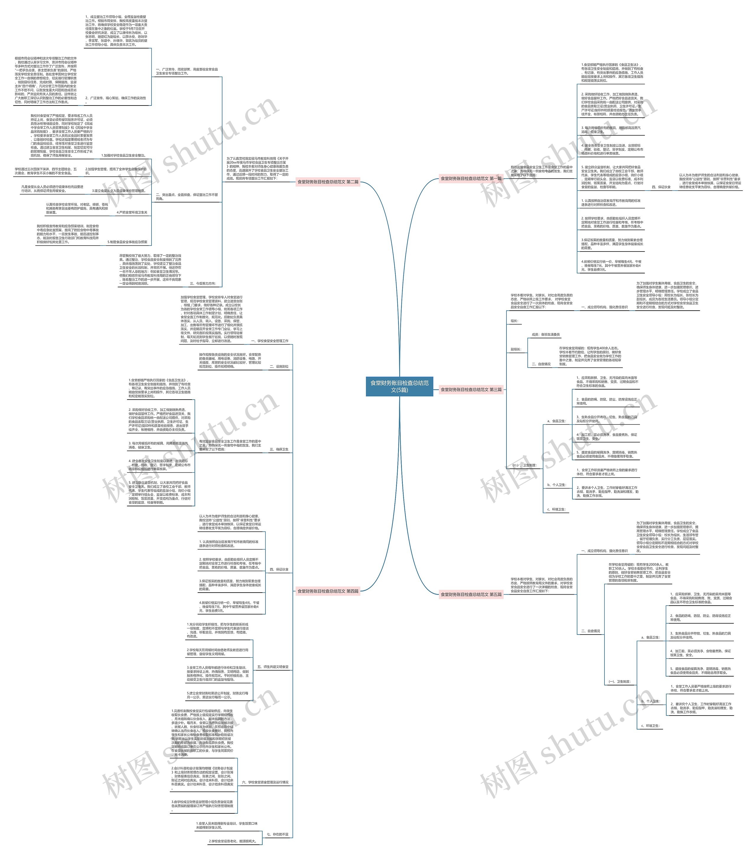 食堂财务账目检查总结范文(5篇)思维导图
