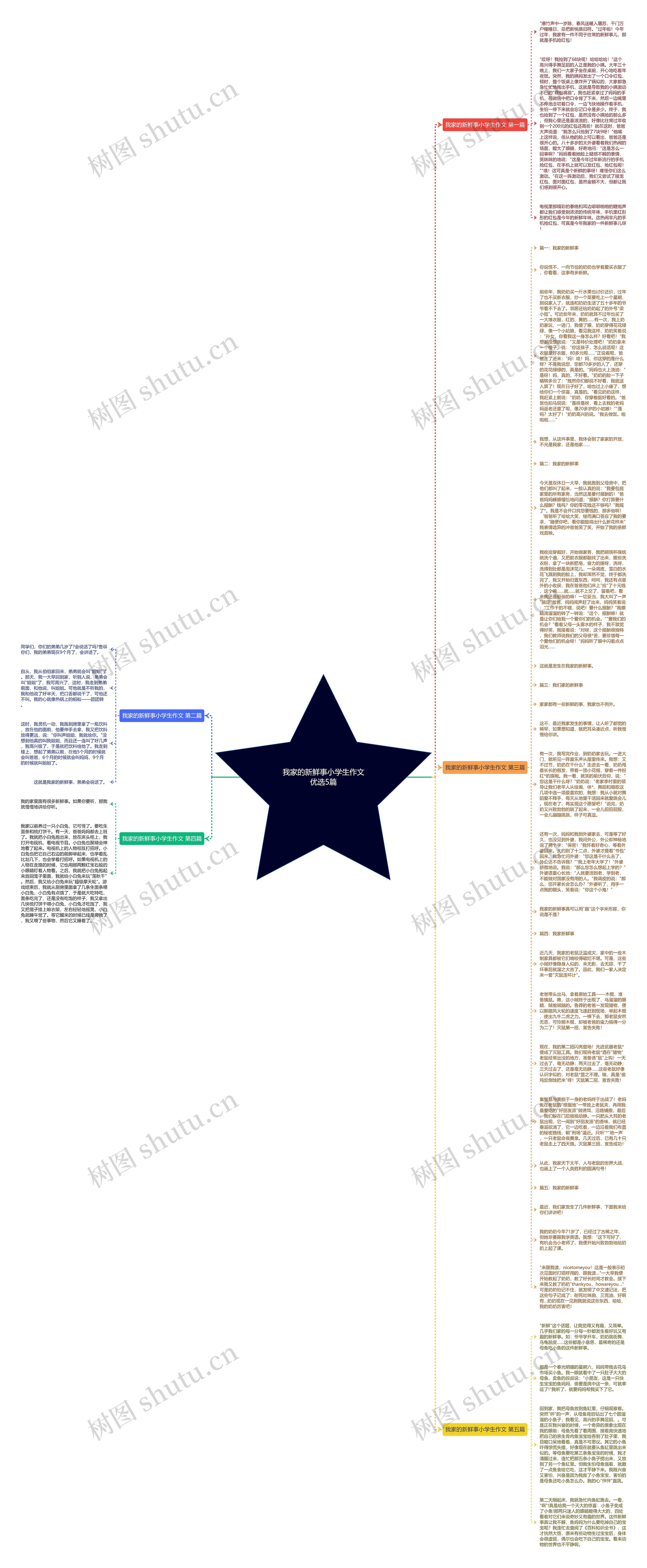 我家的新鲜事小学生作文优选5篇思维导图