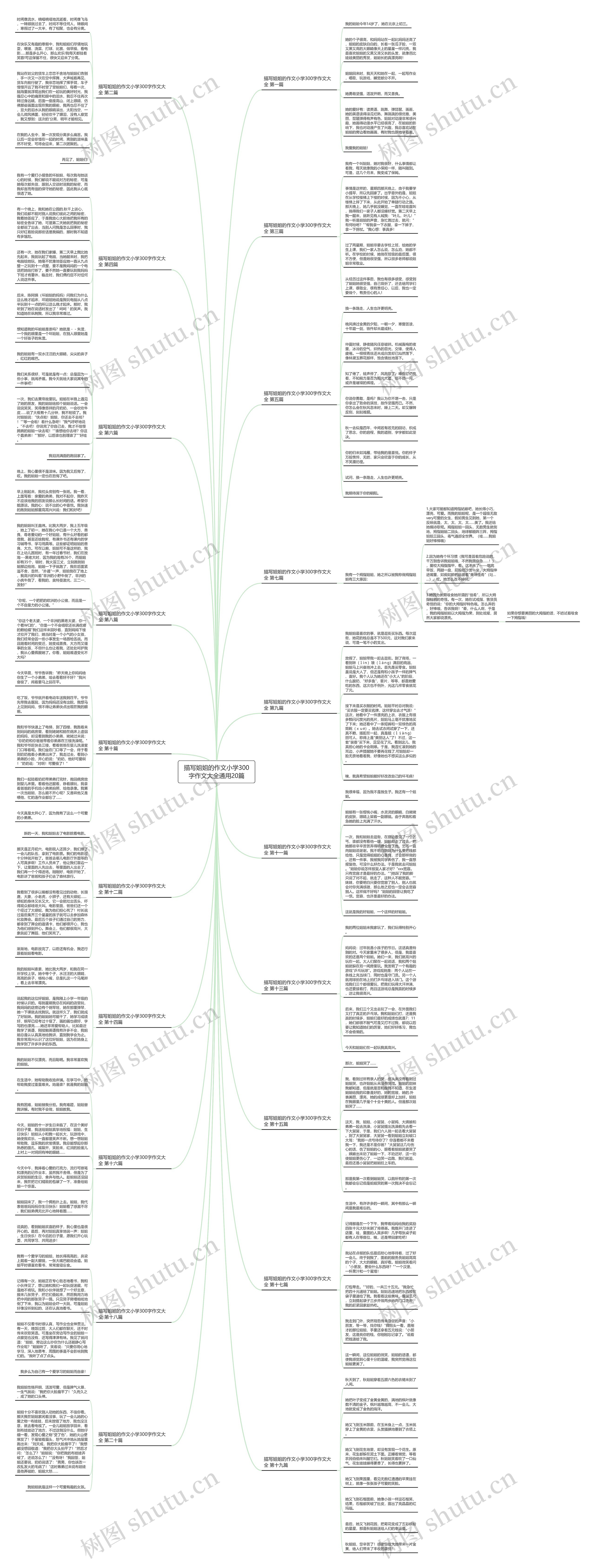 描写姐姐的作文小学300字作文大全通用20篇