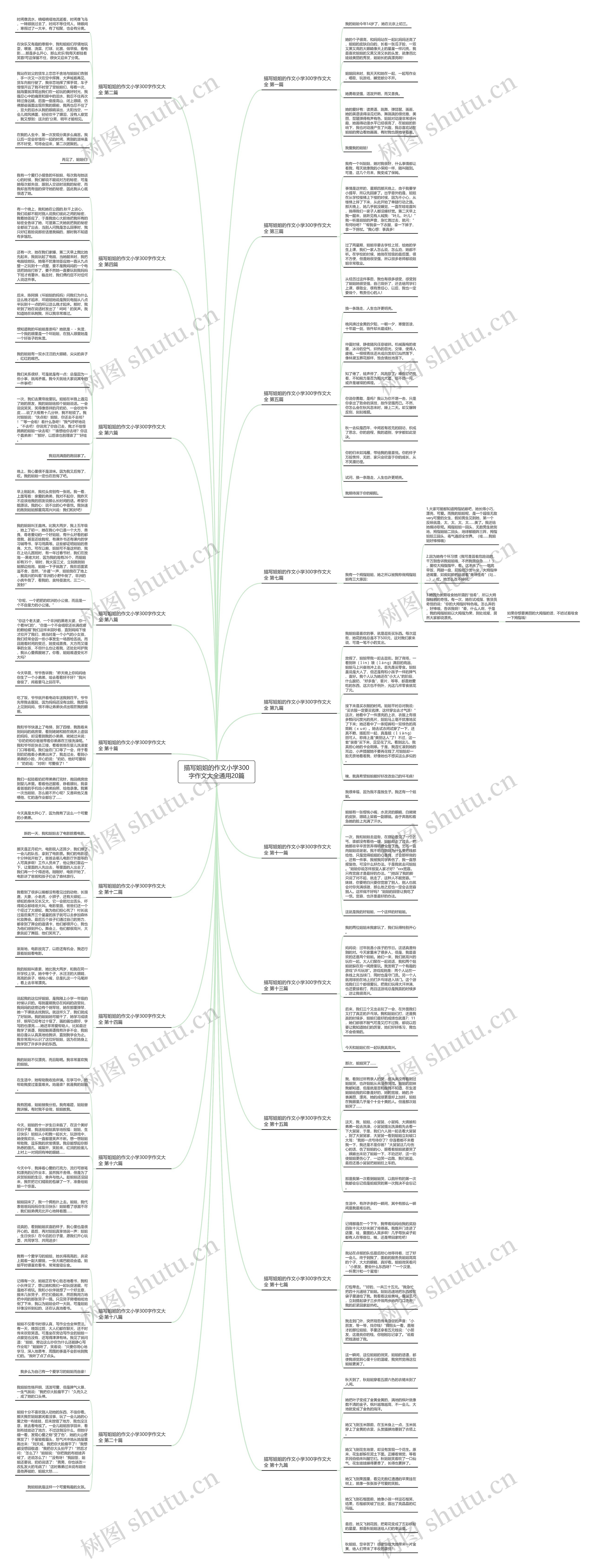 描写姐姐的作文小学300字作文大全通用20篇思维导图