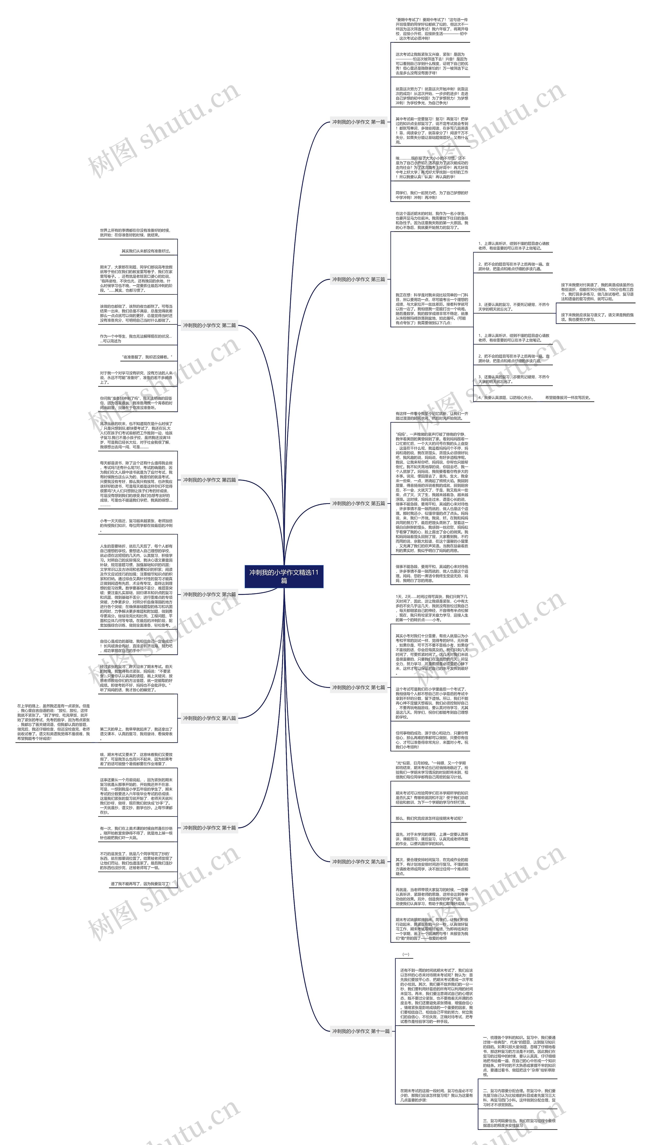 冲刺我的小学作文精选11篇 冲刺我的小学作文精选11篇
