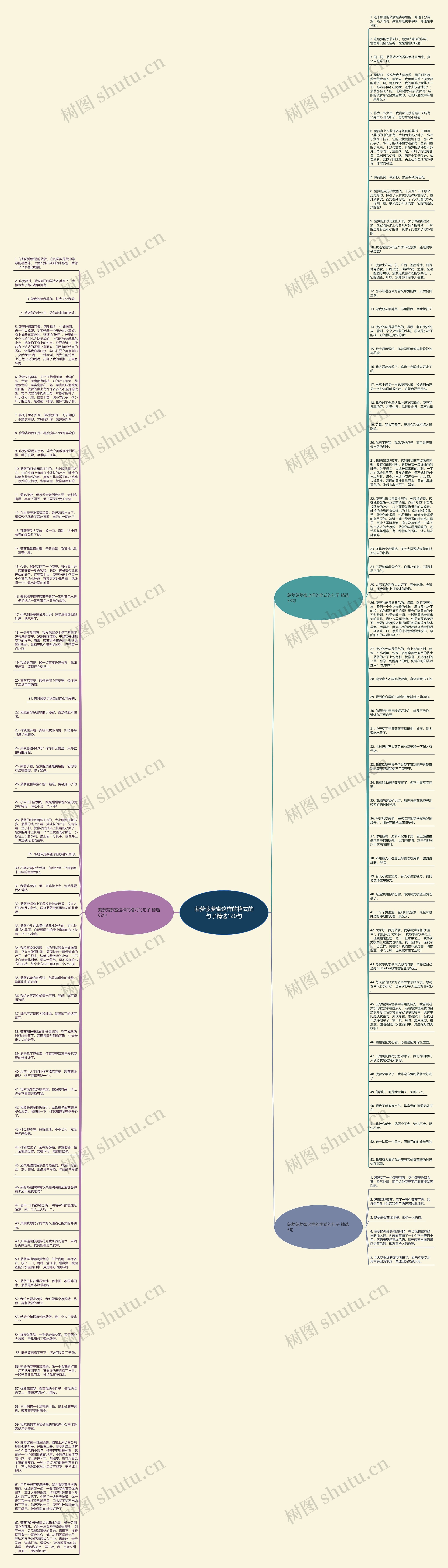 菠萝菠萝蜜这样的格式的句子精选120句思维导图