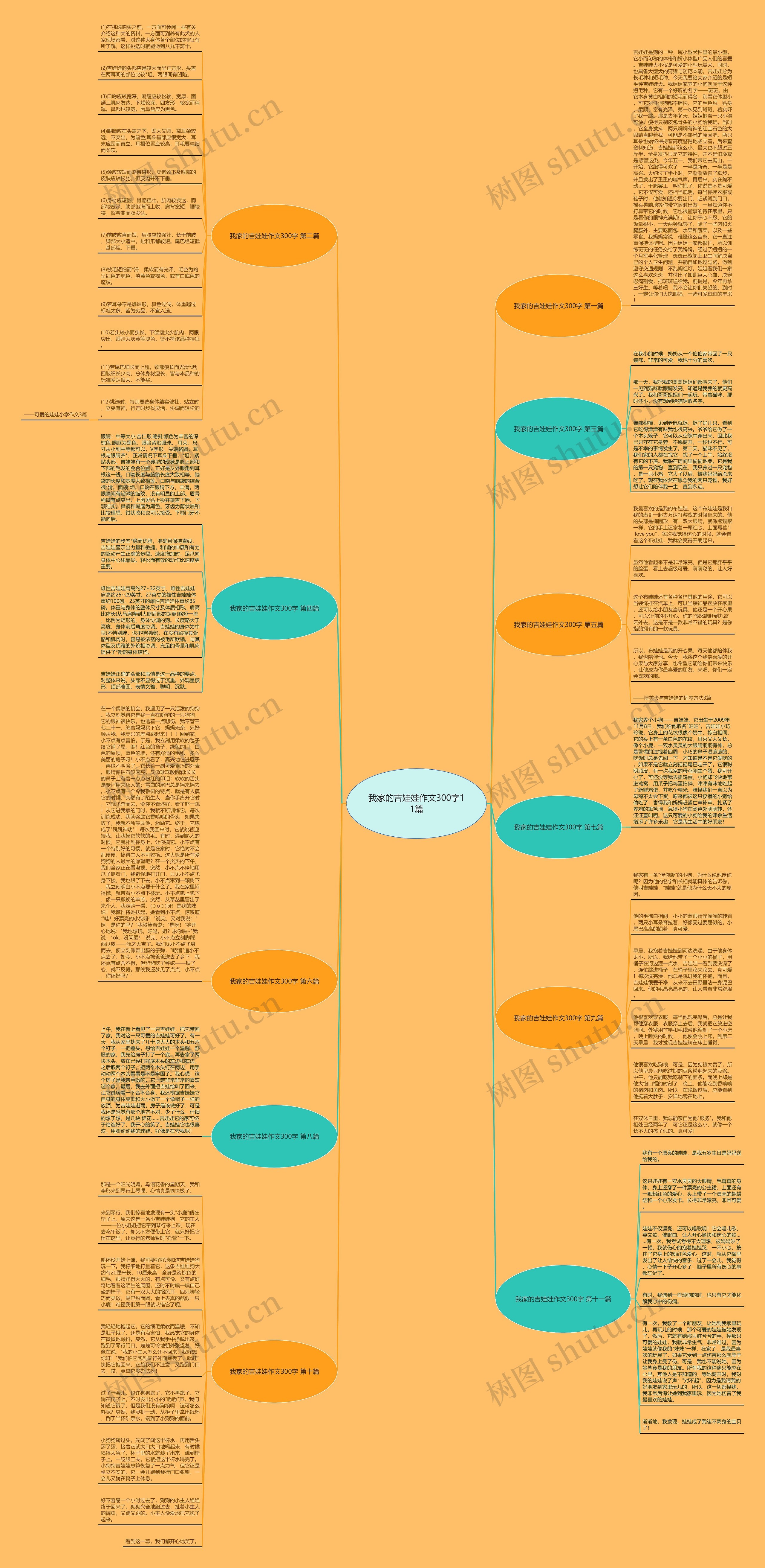 我家的吉娃娃作文300字11篇思维导图