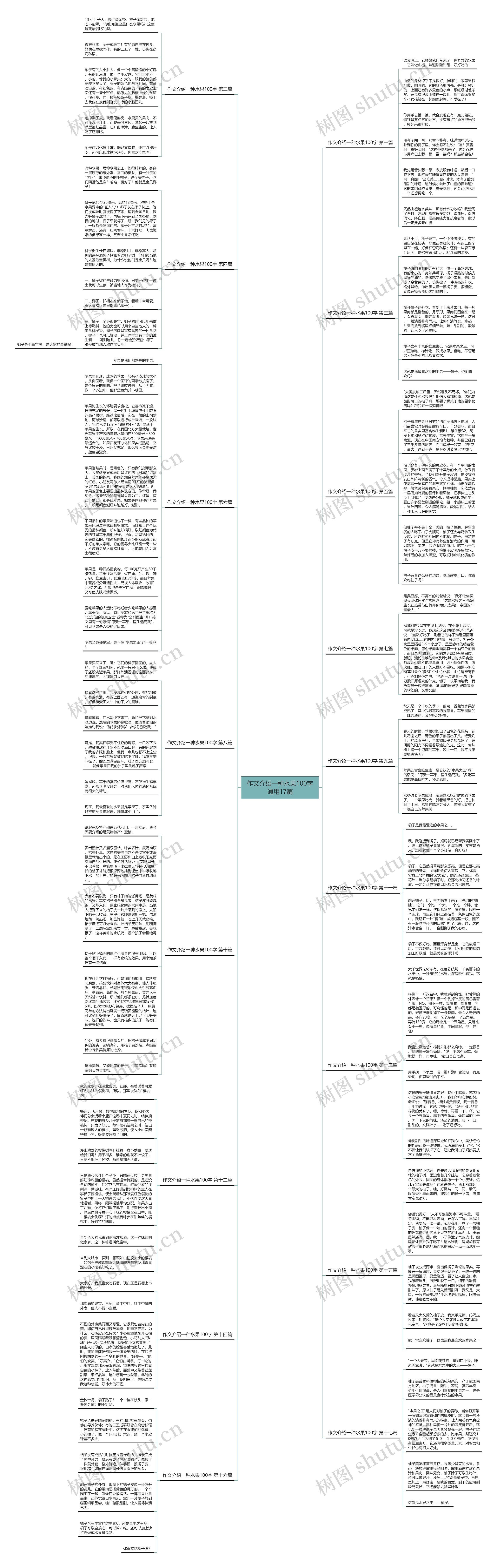 作文介绍一种水果100字通用17篇思维导图