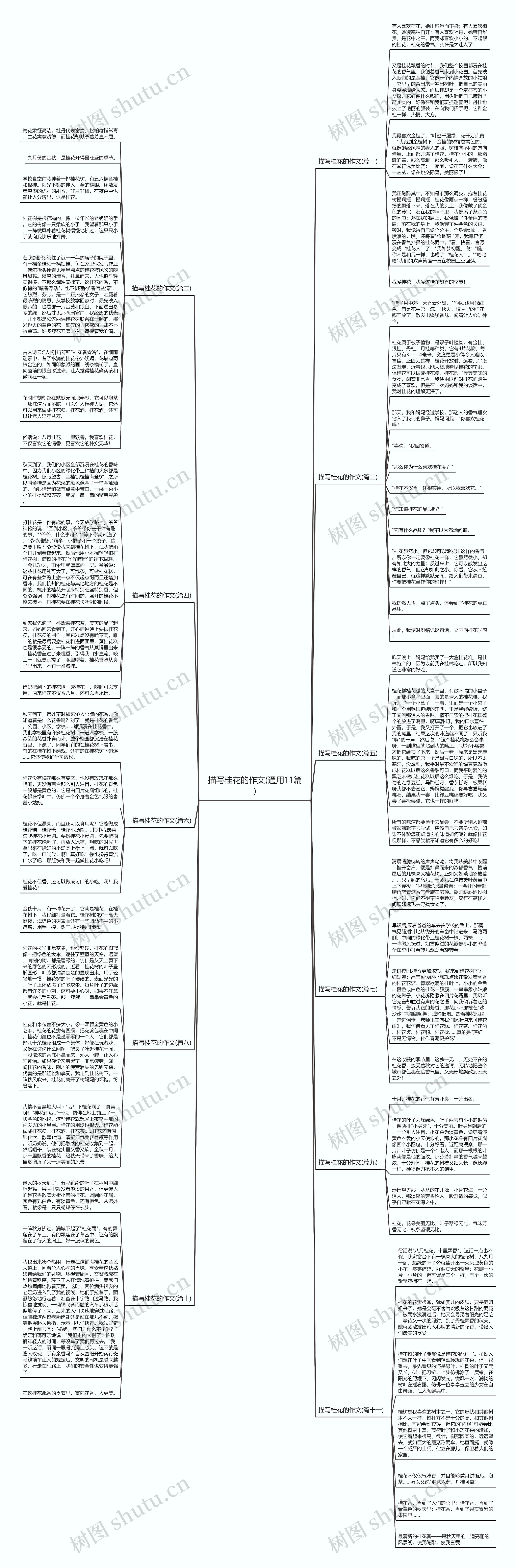 描写桂花的作文(通用11篇)思维导图