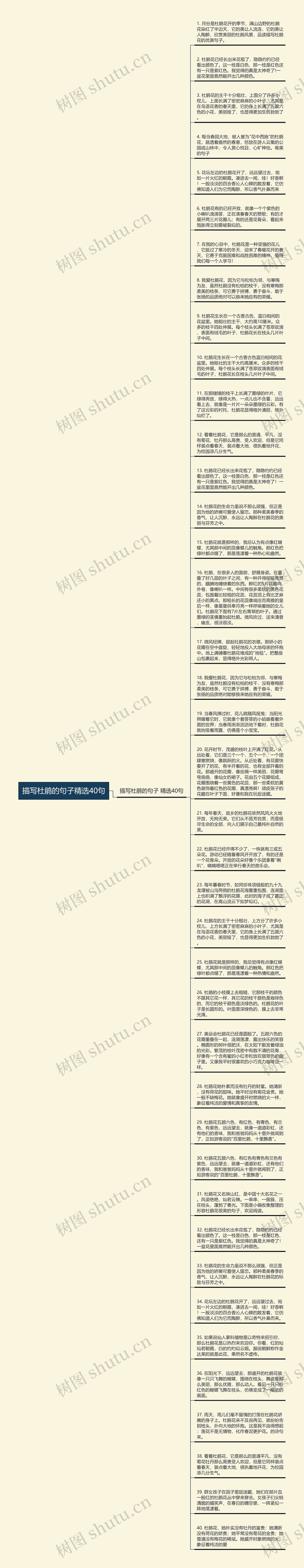 描写杜鹃的句子精选40句思维导图