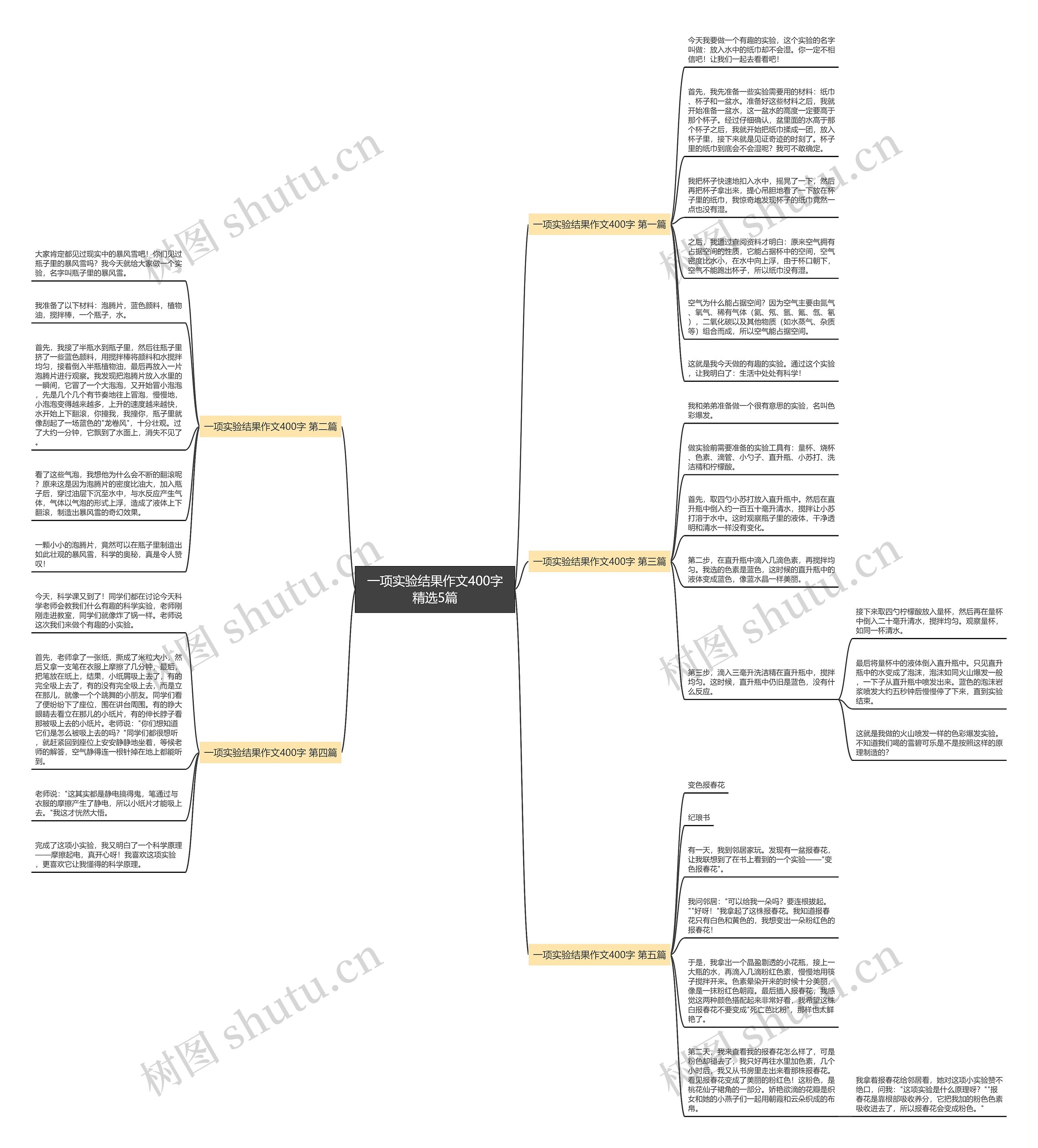 一项实验结果作文400字精选5篇思维导图