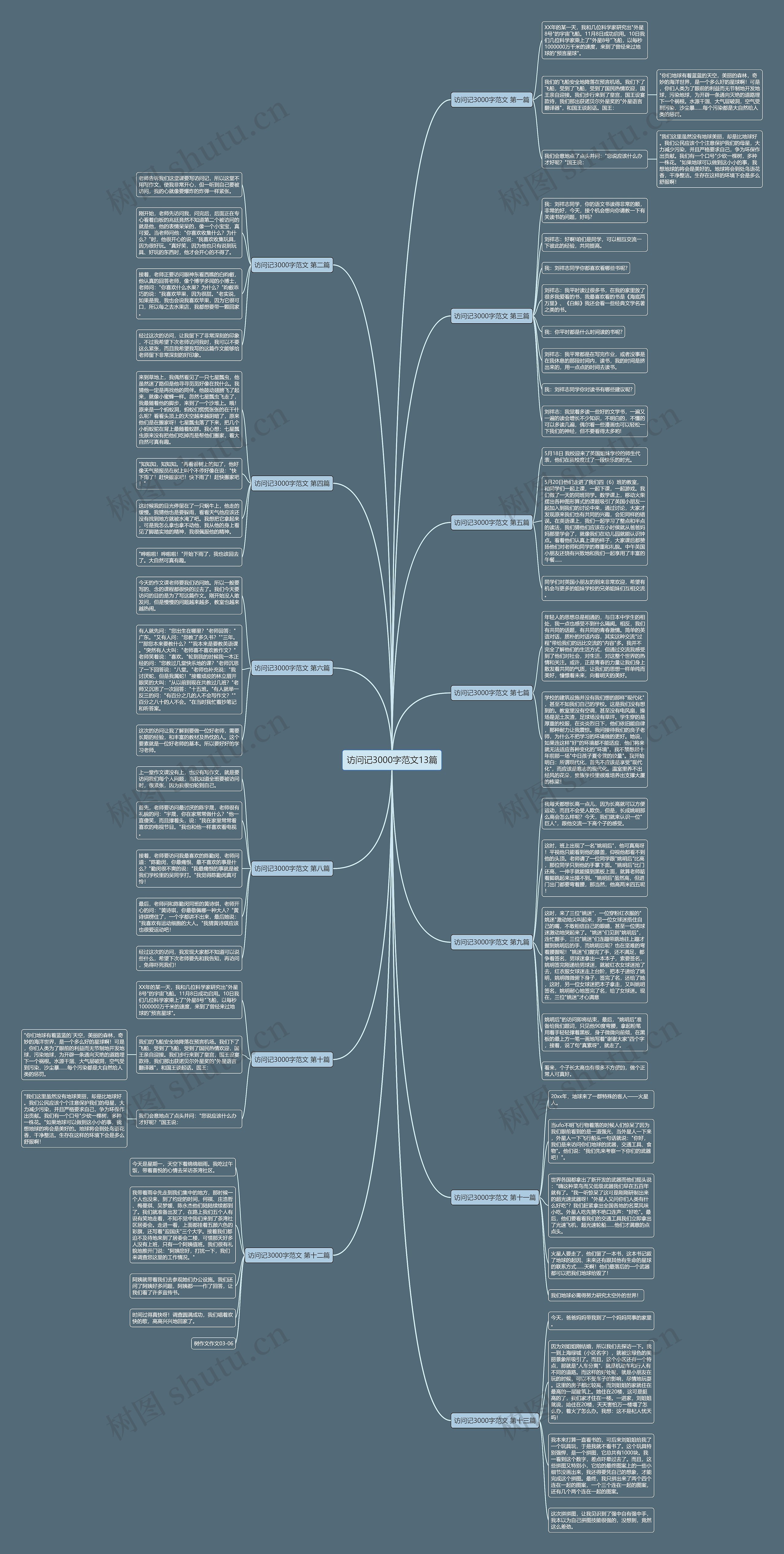 访问记3000字范文13篇思维导图