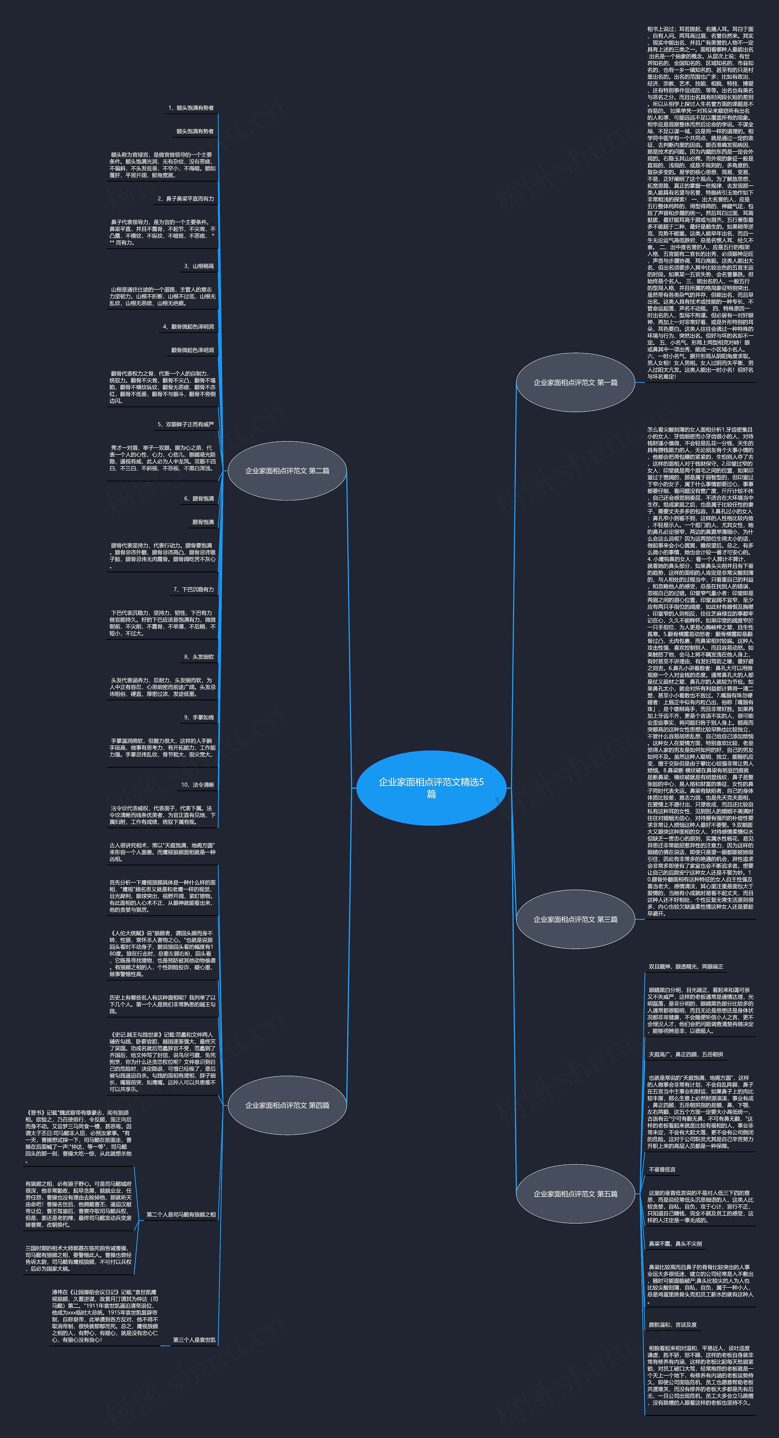 企业家面相点评范文精选5篇思维导图