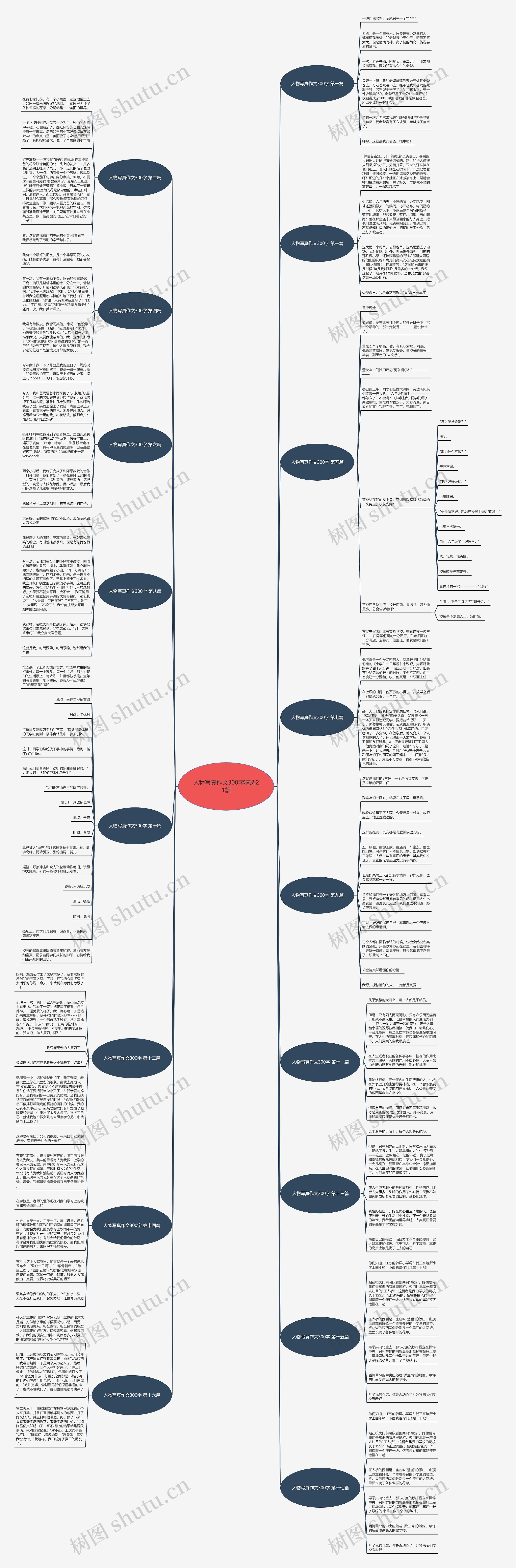 人物写真作文300字精选21篇思维导图