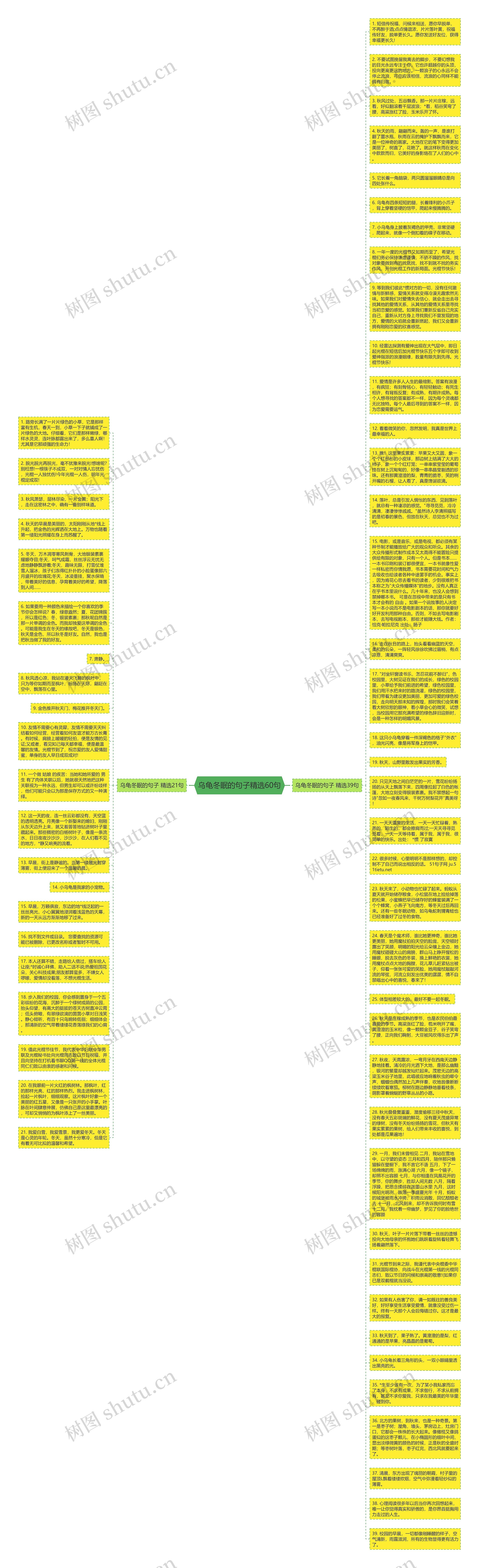乌龟冬眠的句子精选60句思维导图