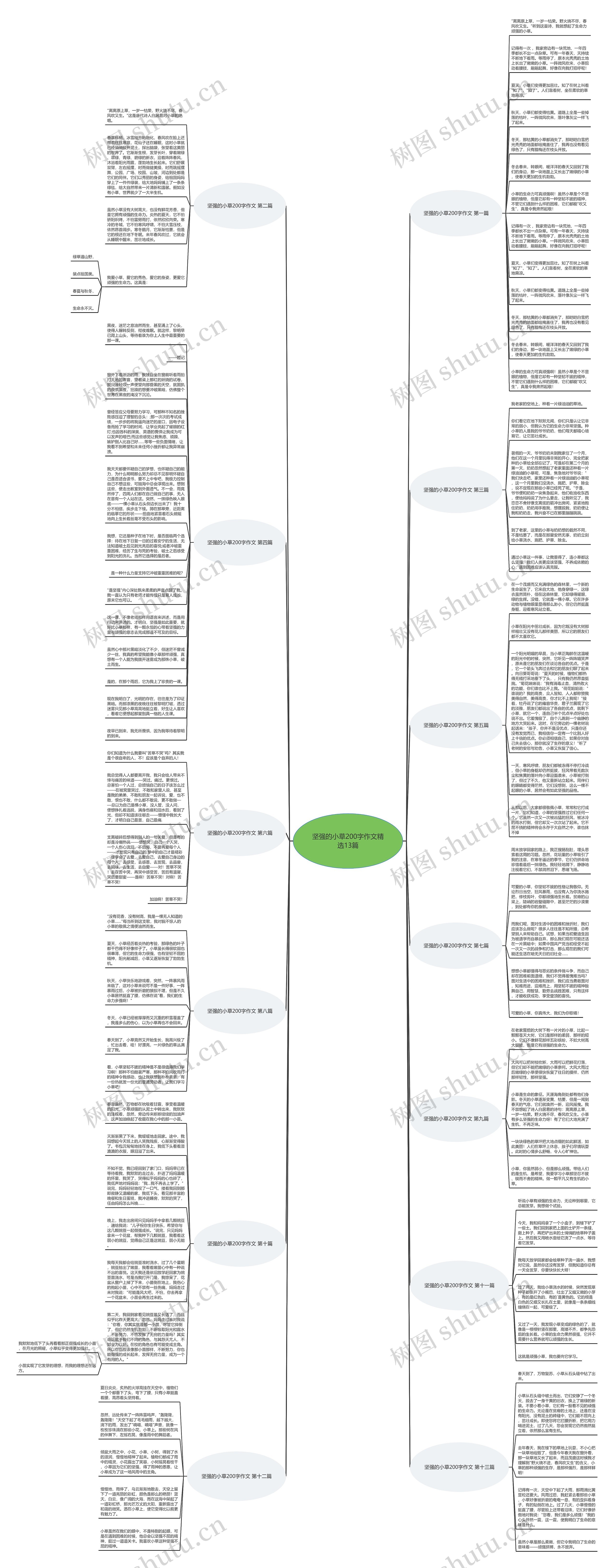 坚强的小草200字作文精选13篇思维导图