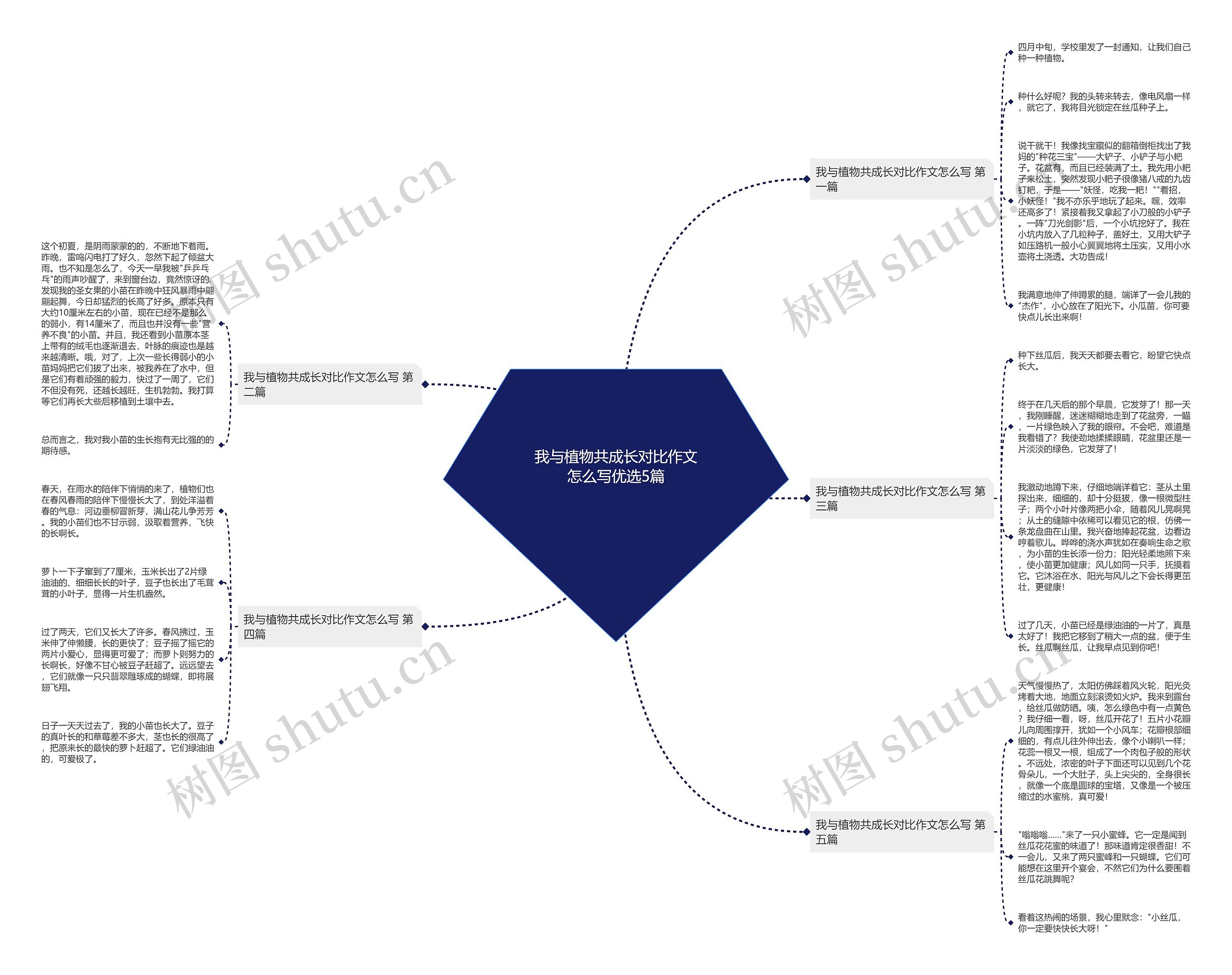 我与植物共成长对比作文怎么写优选5篇思维导图