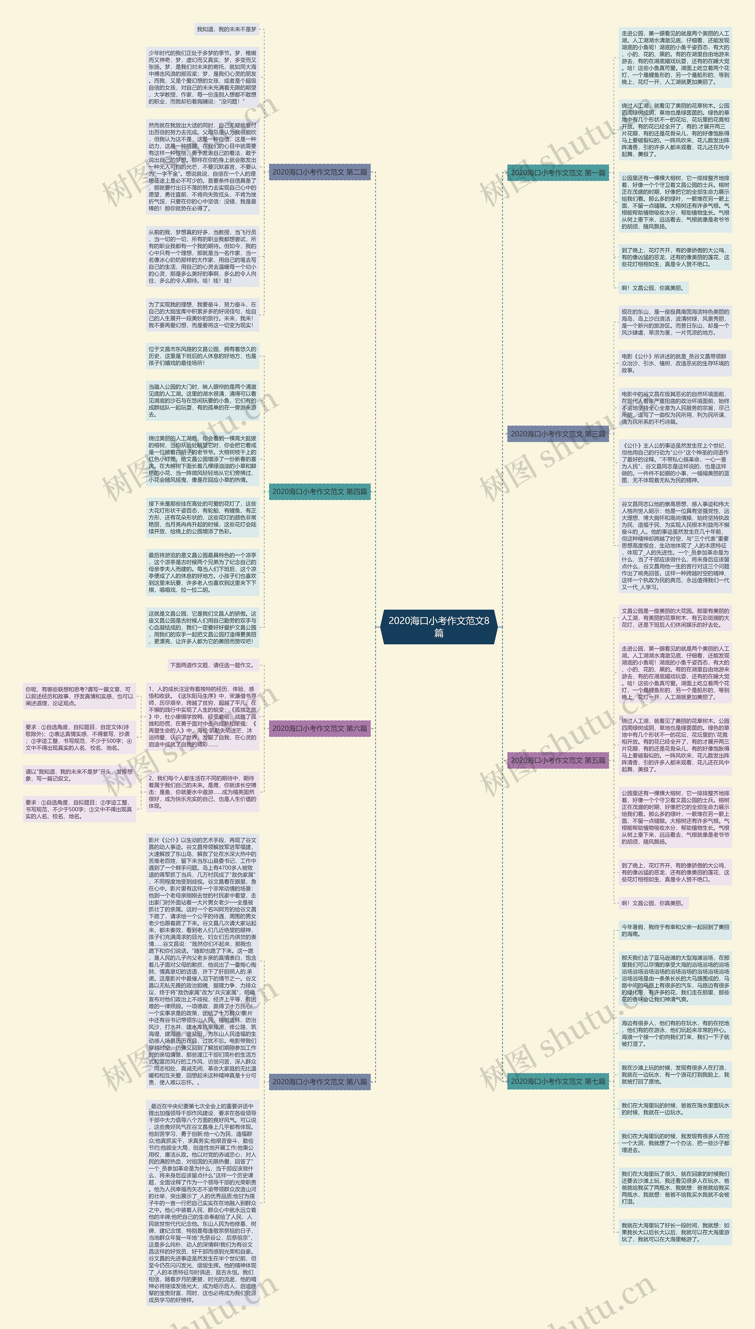 2020海口小考作文范文8篇思维导图