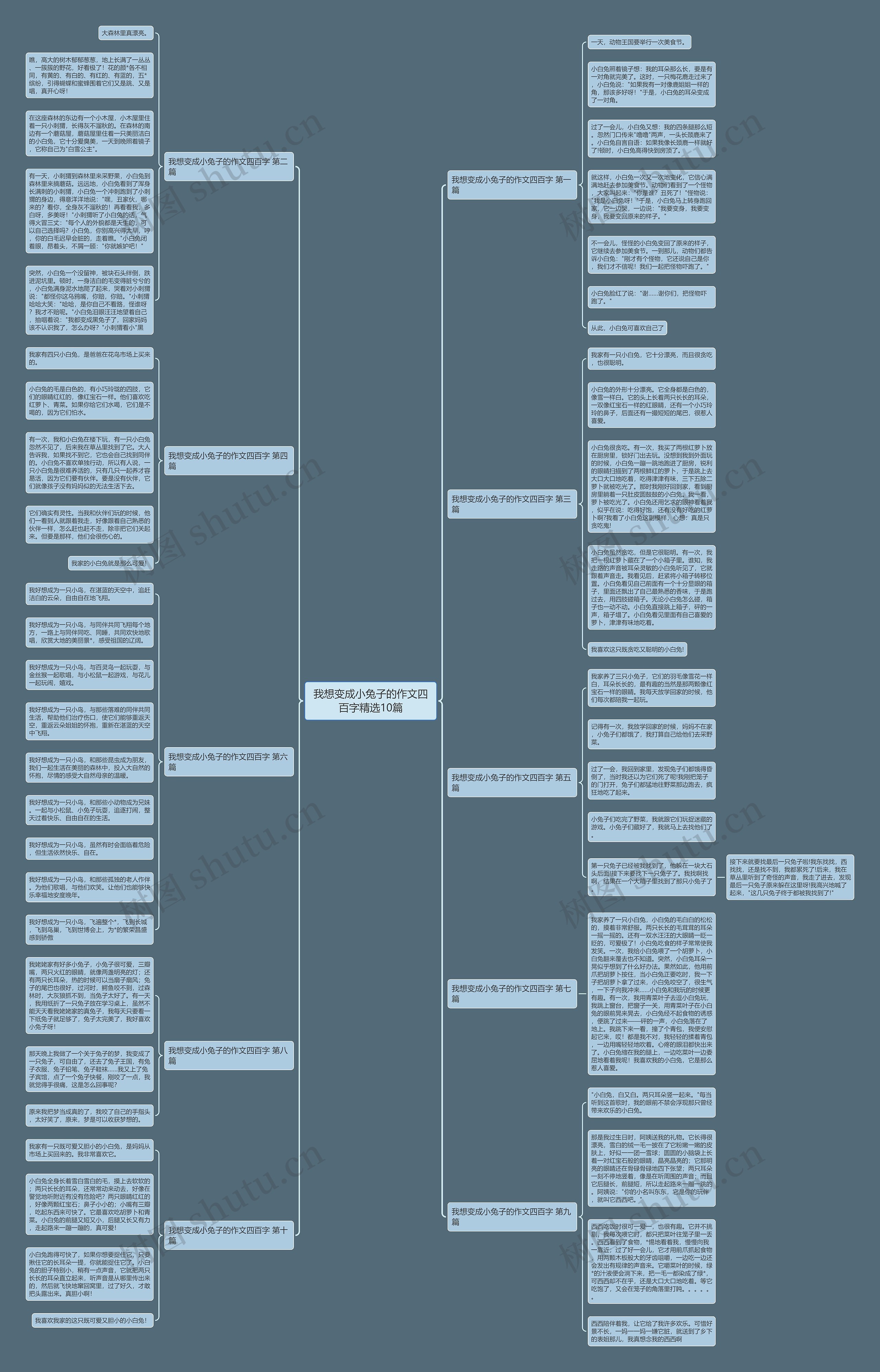 我想变成小兔子的作文四百字精选10篇 我想变成小兔子的作文四百字精选10篇