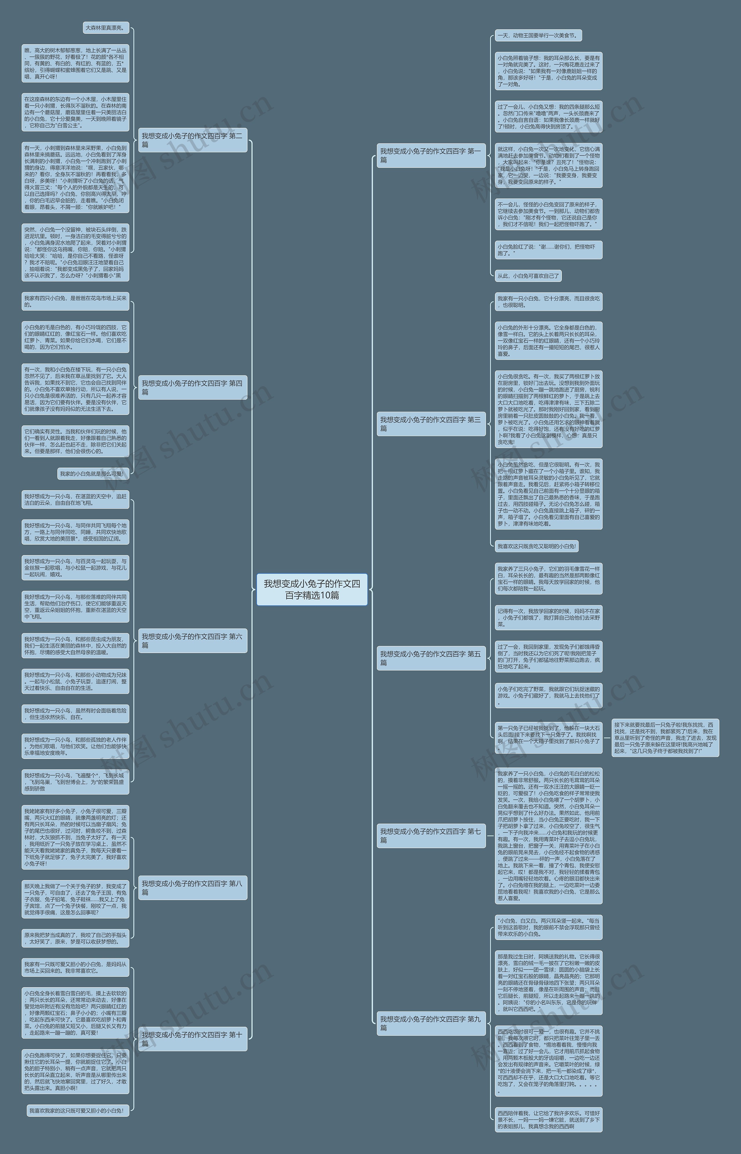 我想变成小兔子的作文四百字精选10篇思维导图