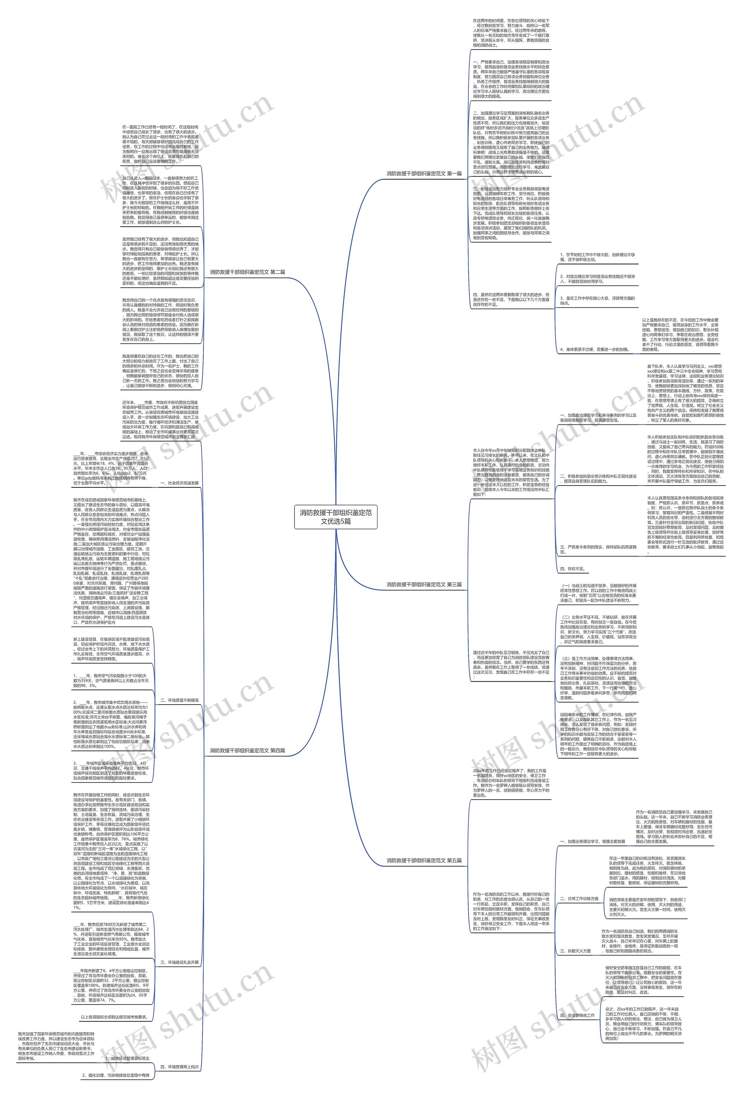 消防救援干部组织鉴定范文优选5篇思维导图