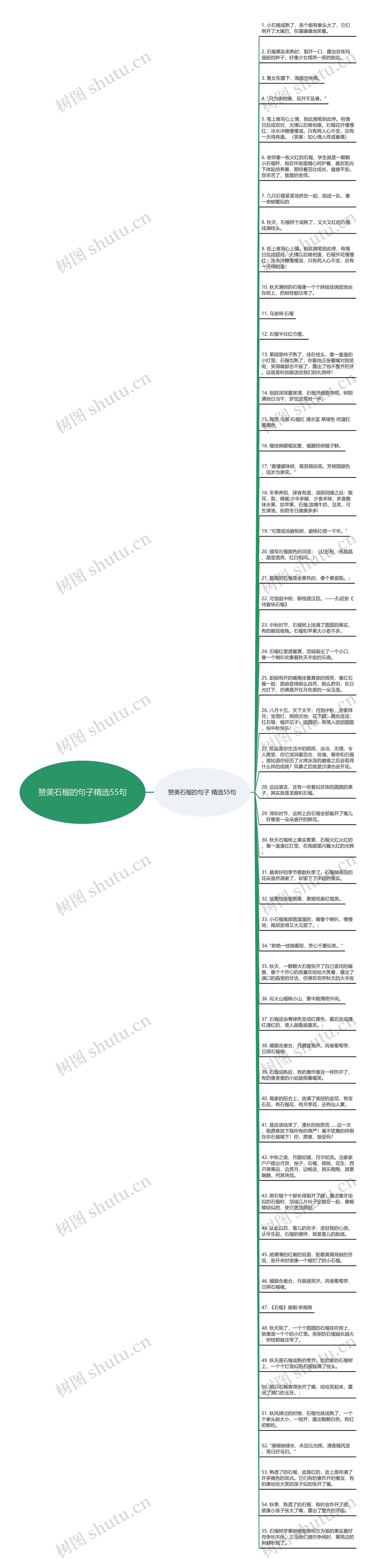 赞美石榴的句子精选55句思维导图