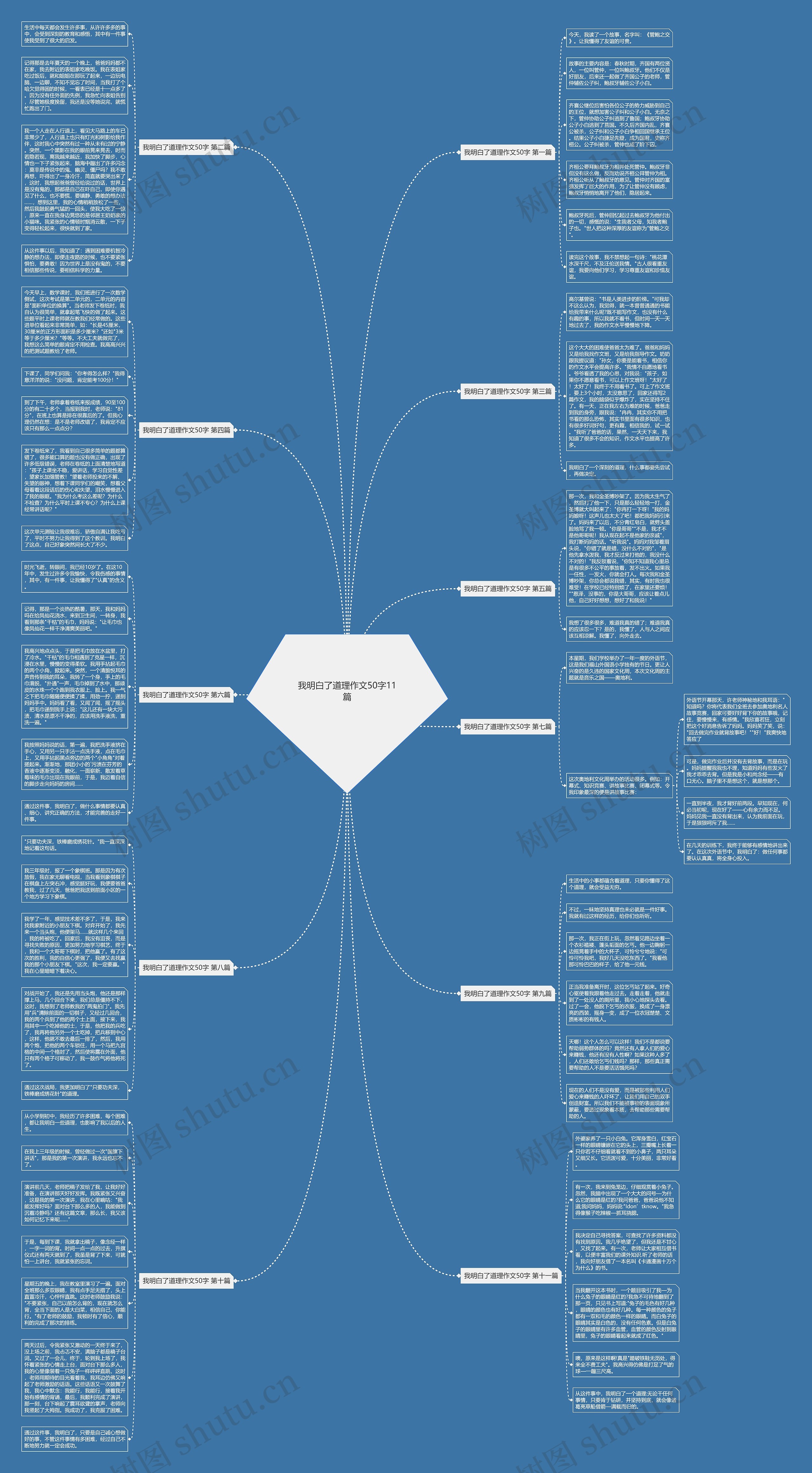 我明白了道理作文50字11篇思维导图