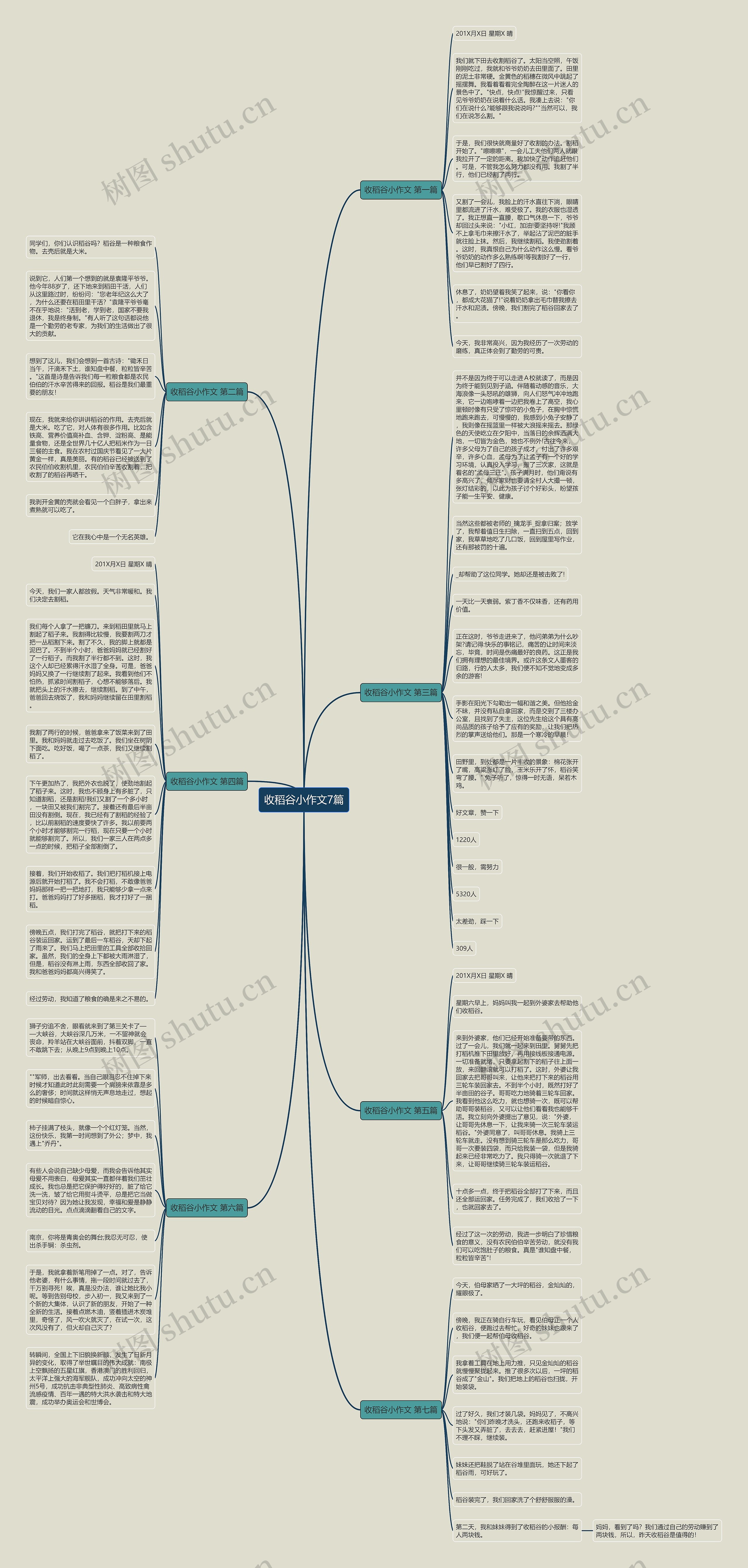 收稻谷小作文7篇思维导图