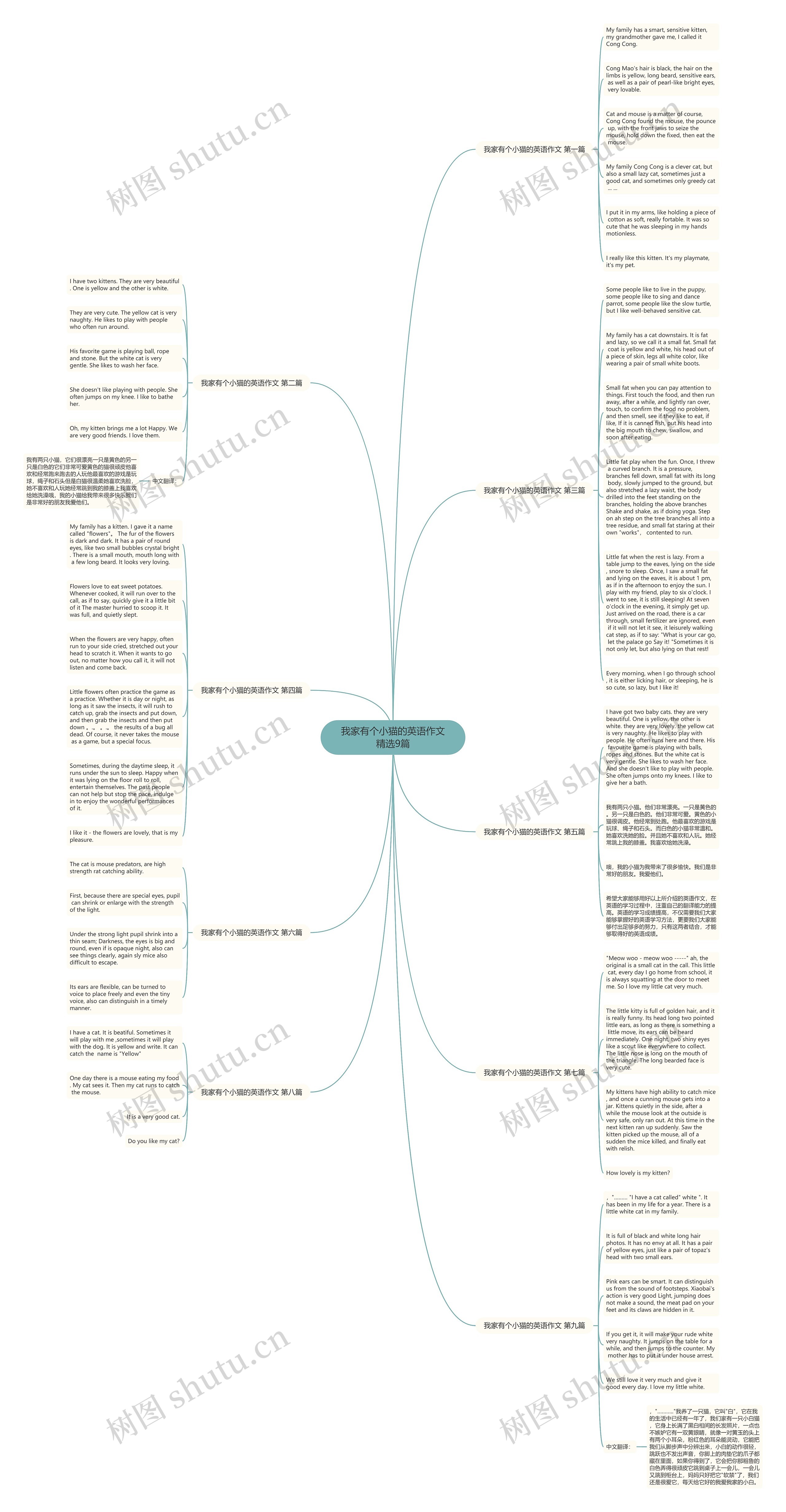 我家有个小猫的英语作文精选9篇思维导图