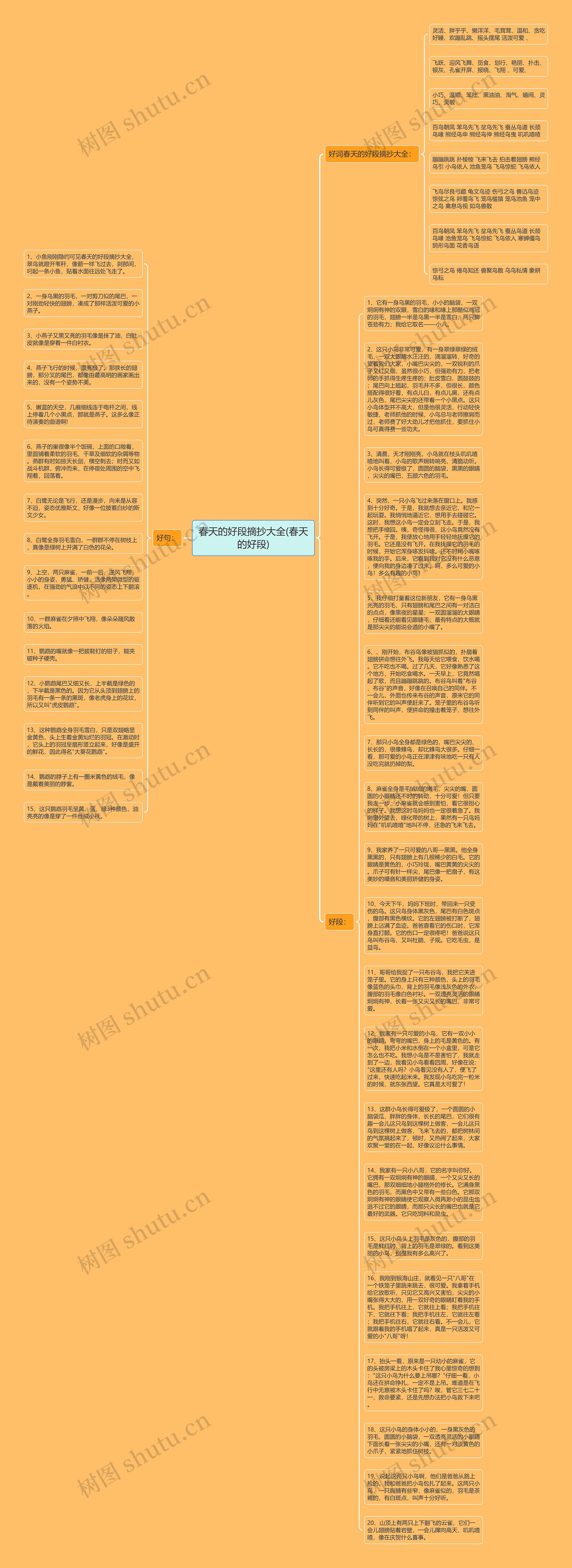 春天的好段摘抄大全(春天的好段)思维导图