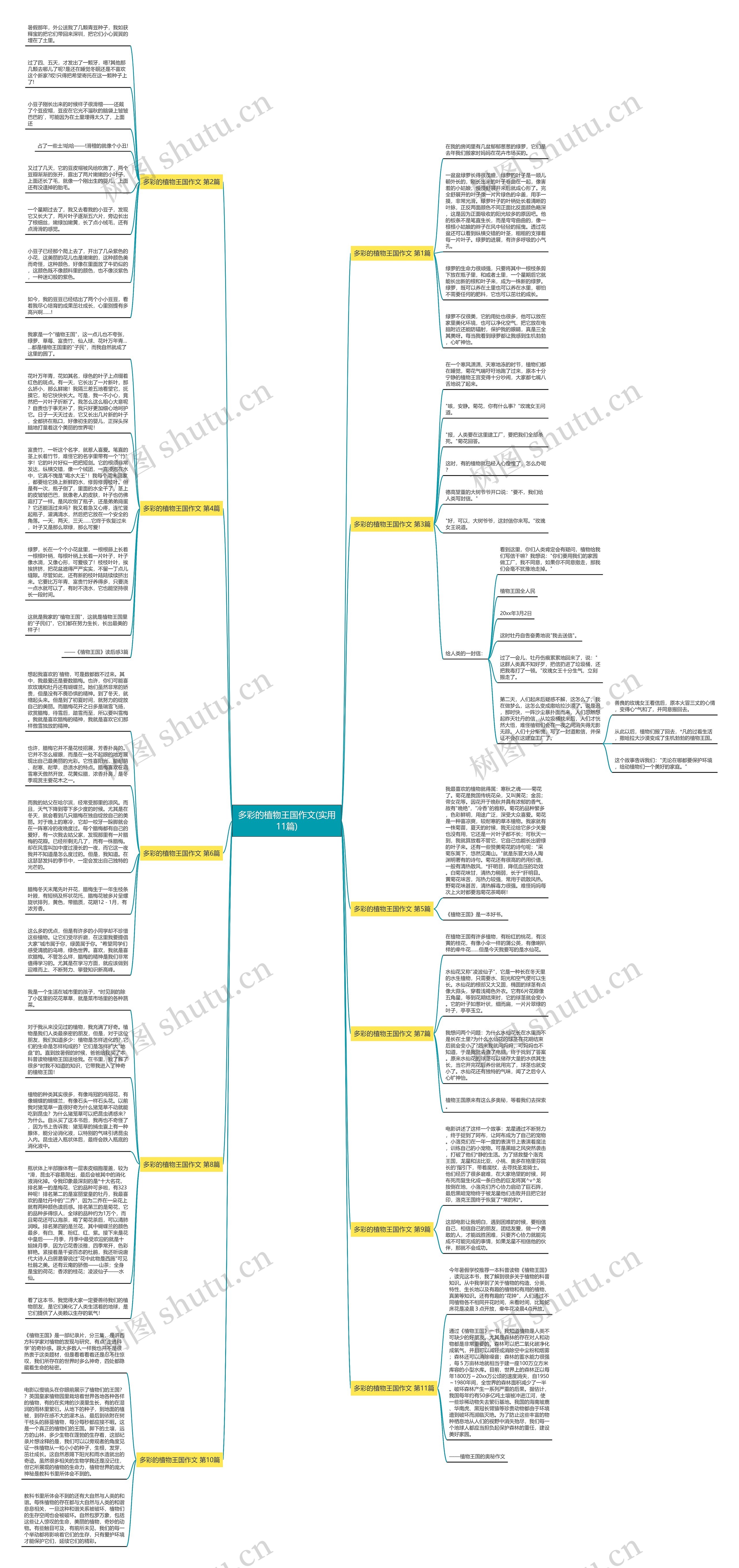 多彩的植物王国作文(实用11篇)思维导图