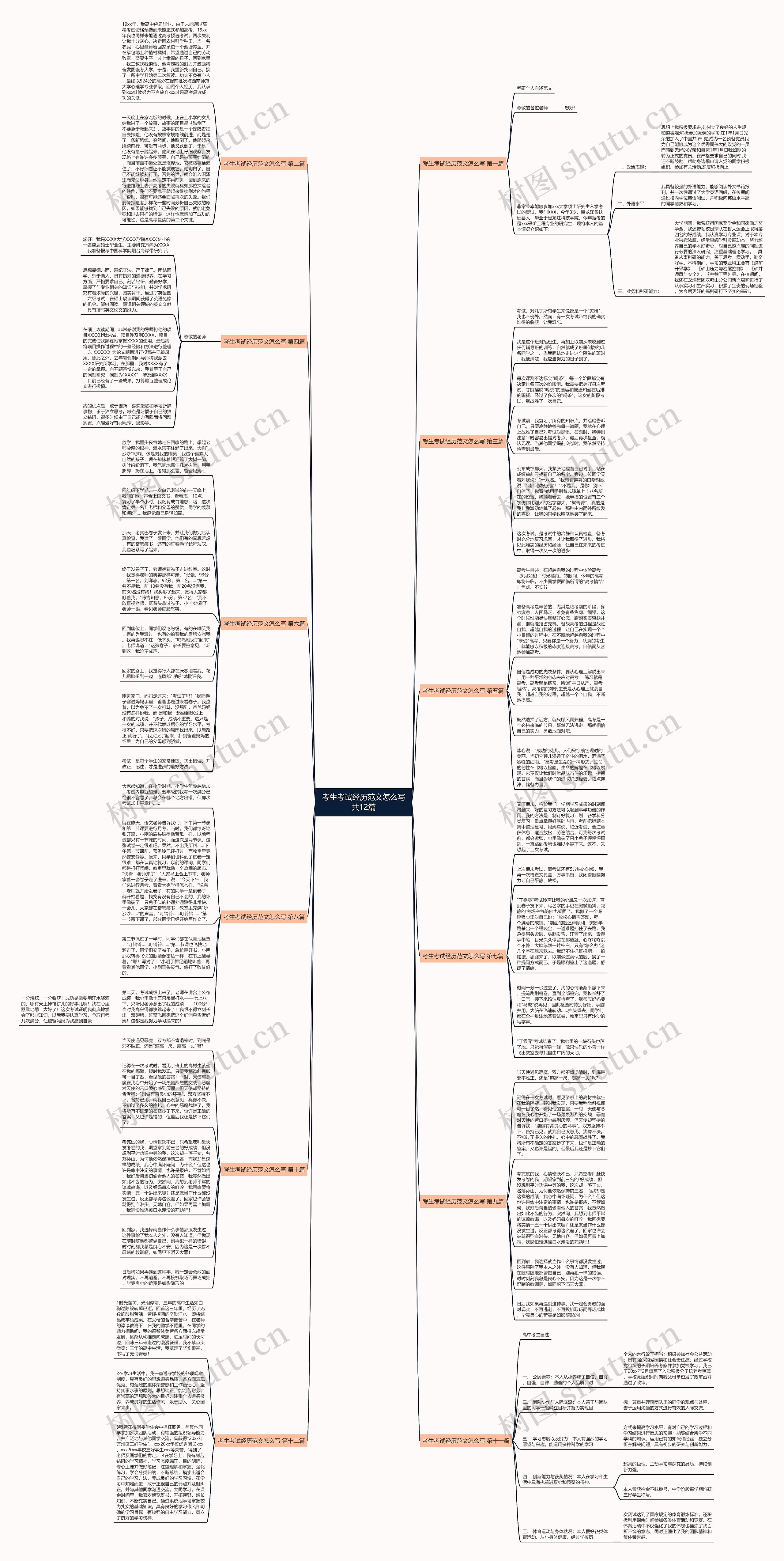 考生考试经历范文怎么写共12篇思维导图