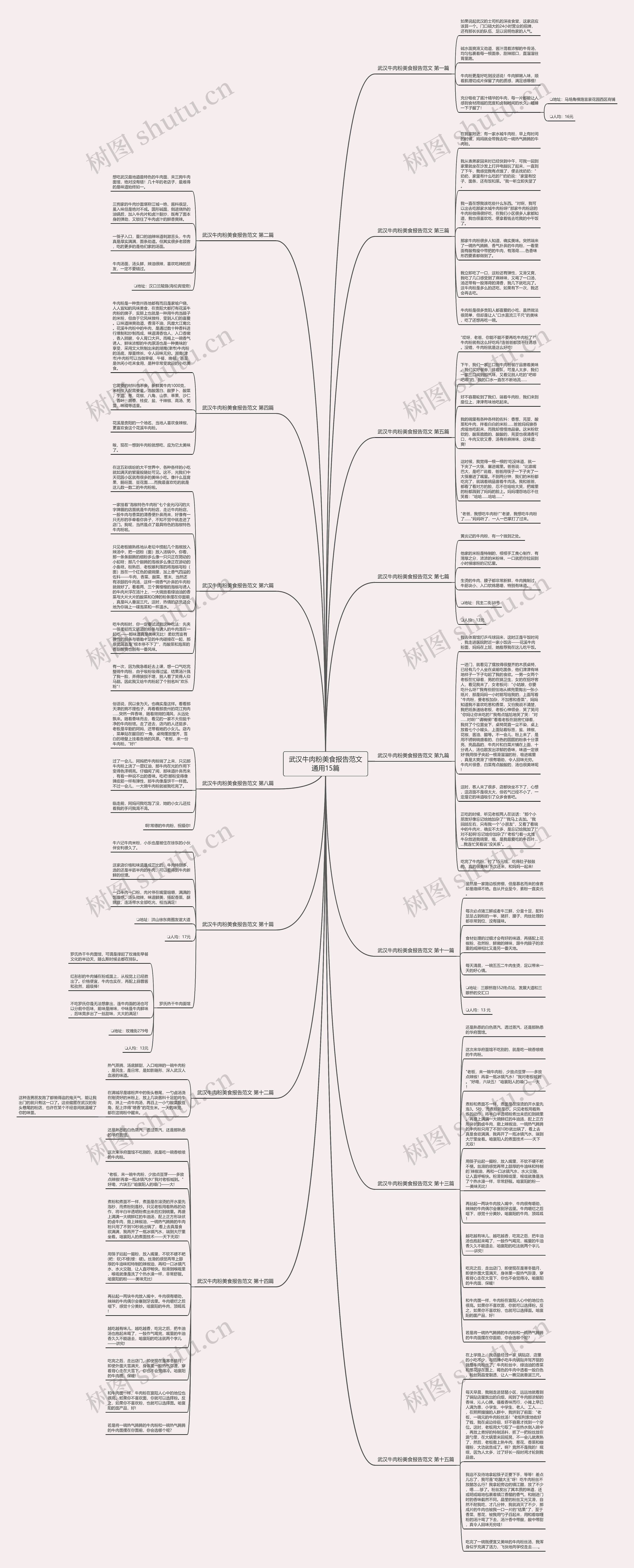 武汉牛肉粉美食报告范文通用15篇
