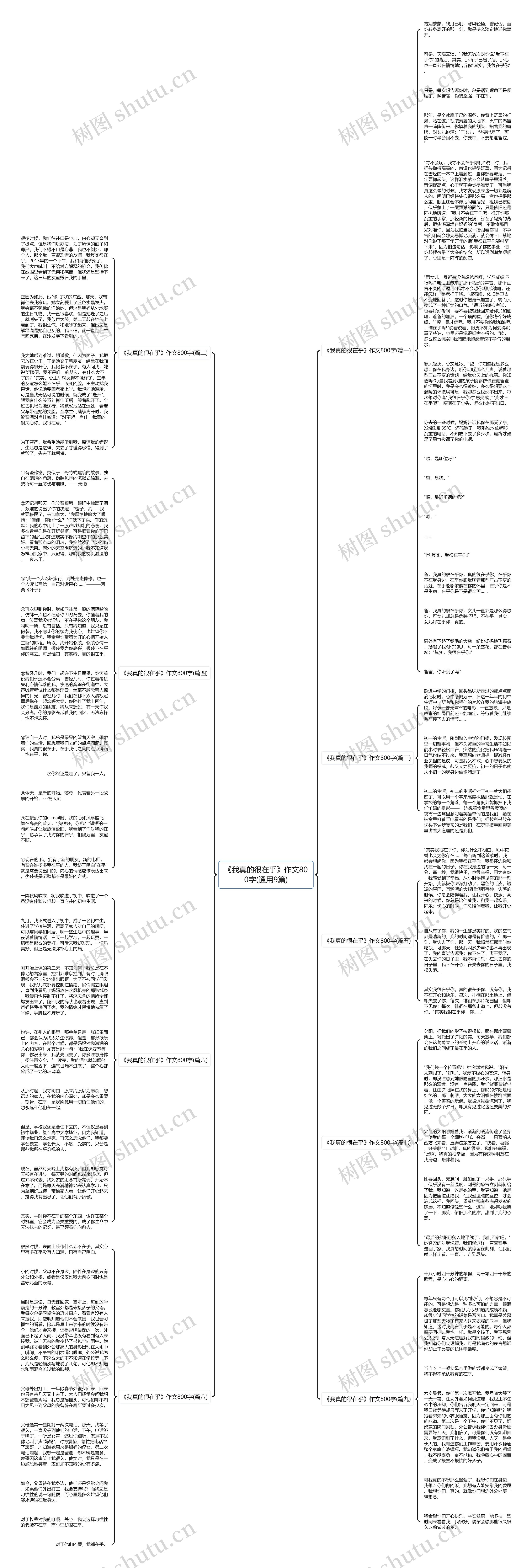 《我真的很在乎》作文800字(通用9篇)思维导图
