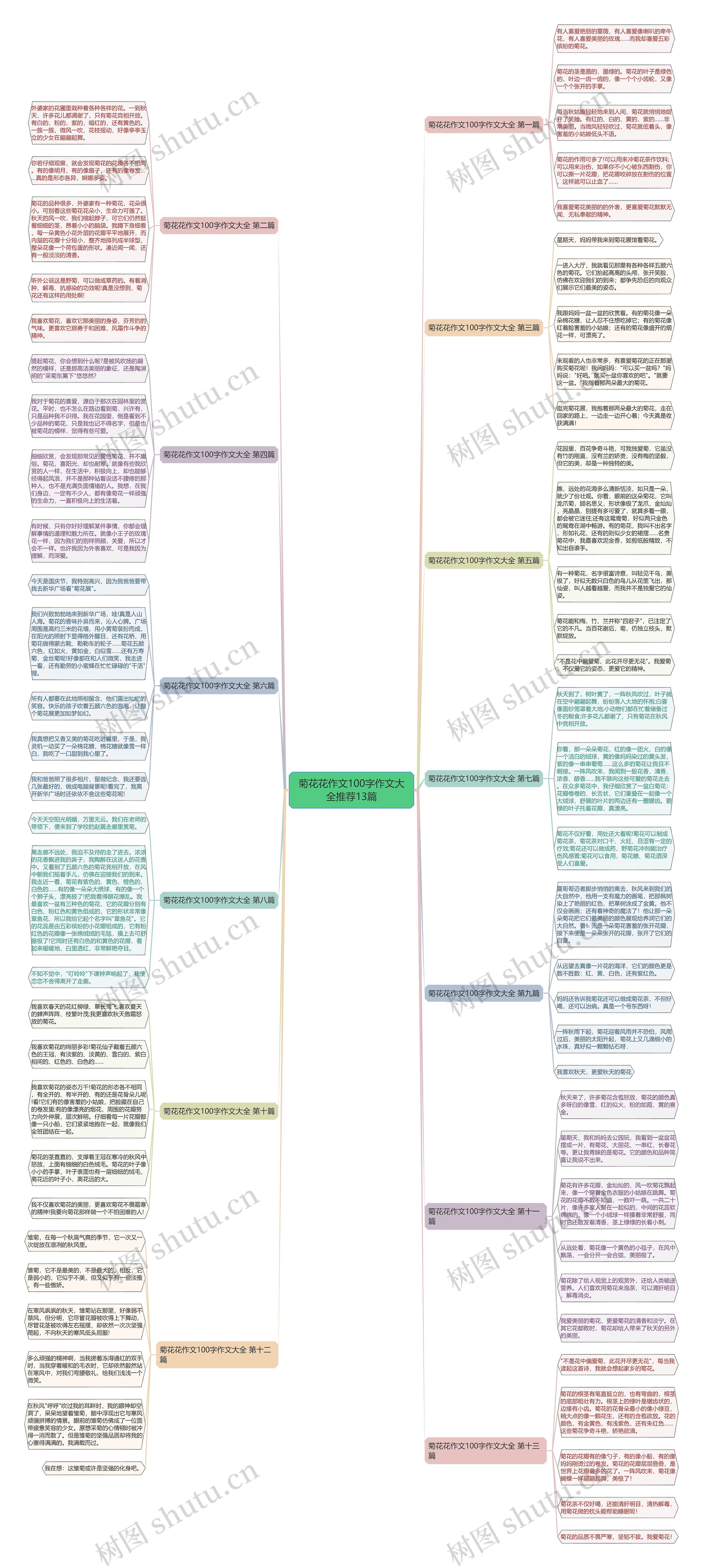 菊花花作文100字作文大全推荐13篇思维导图