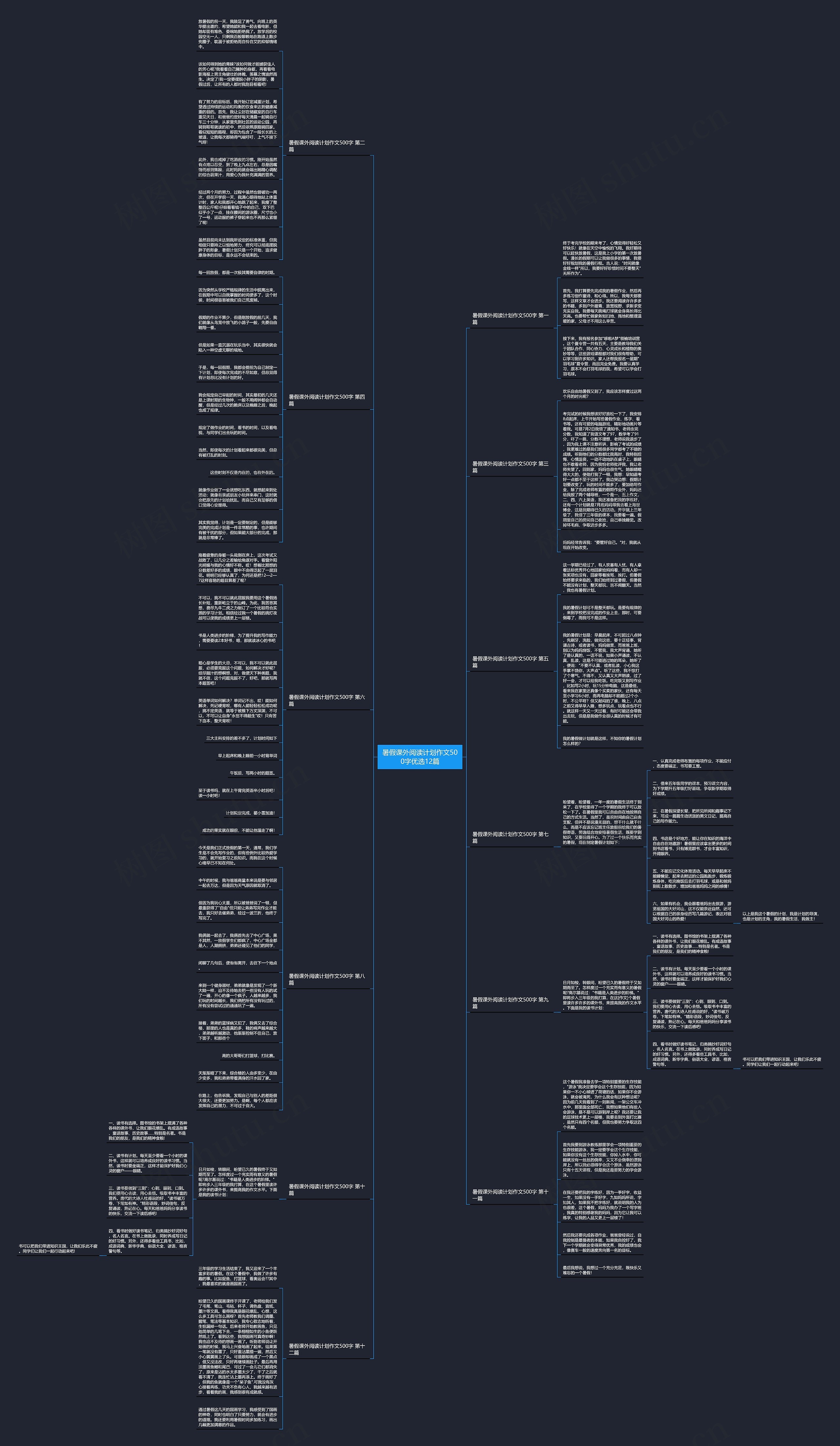暑假课外阅读计划作文500字优选12篇思维导图