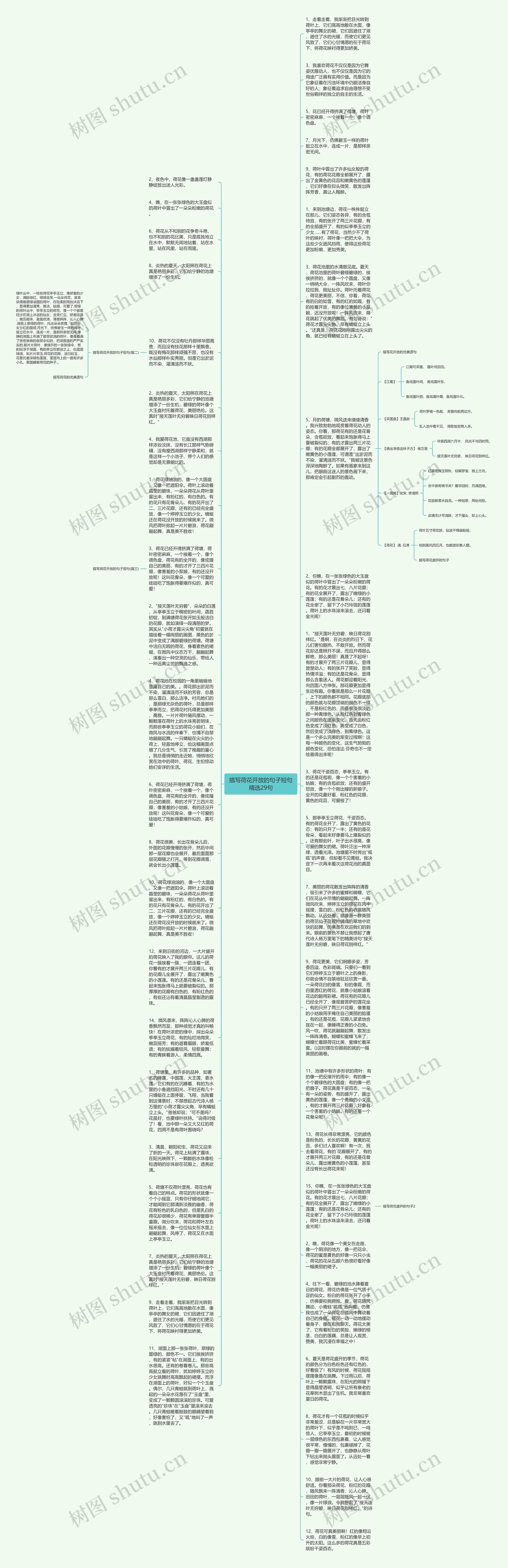 描写荷花开放的句子短句精选29句思维导图