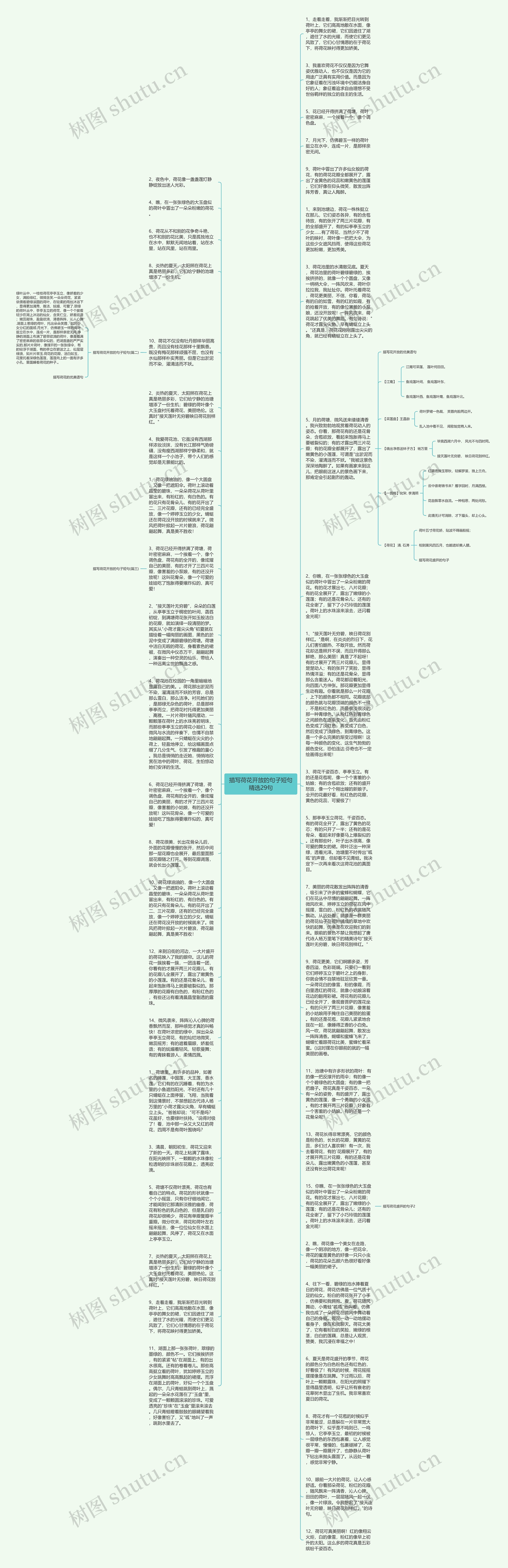 描写荷花开放的句子短句精选29句思维导图高清图 描写荷花开放的句子短句精选29句思维导图