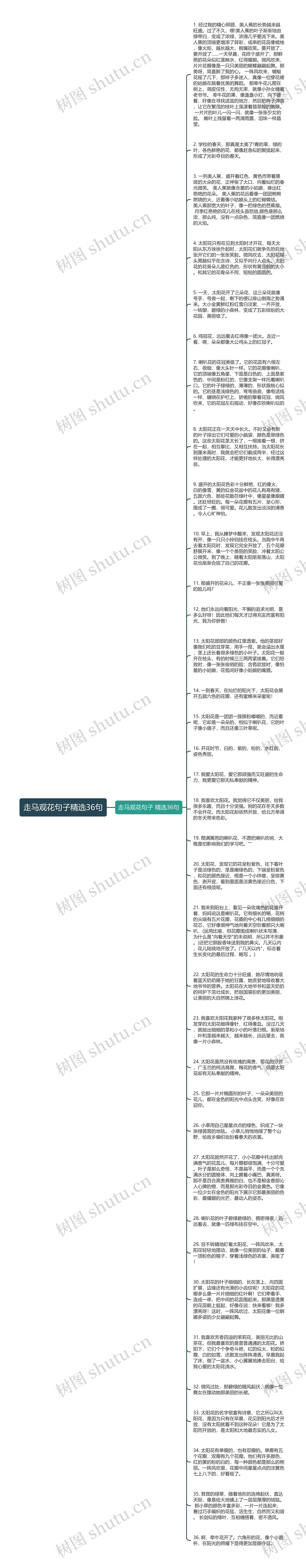 走马观花句子精选36句思维导图