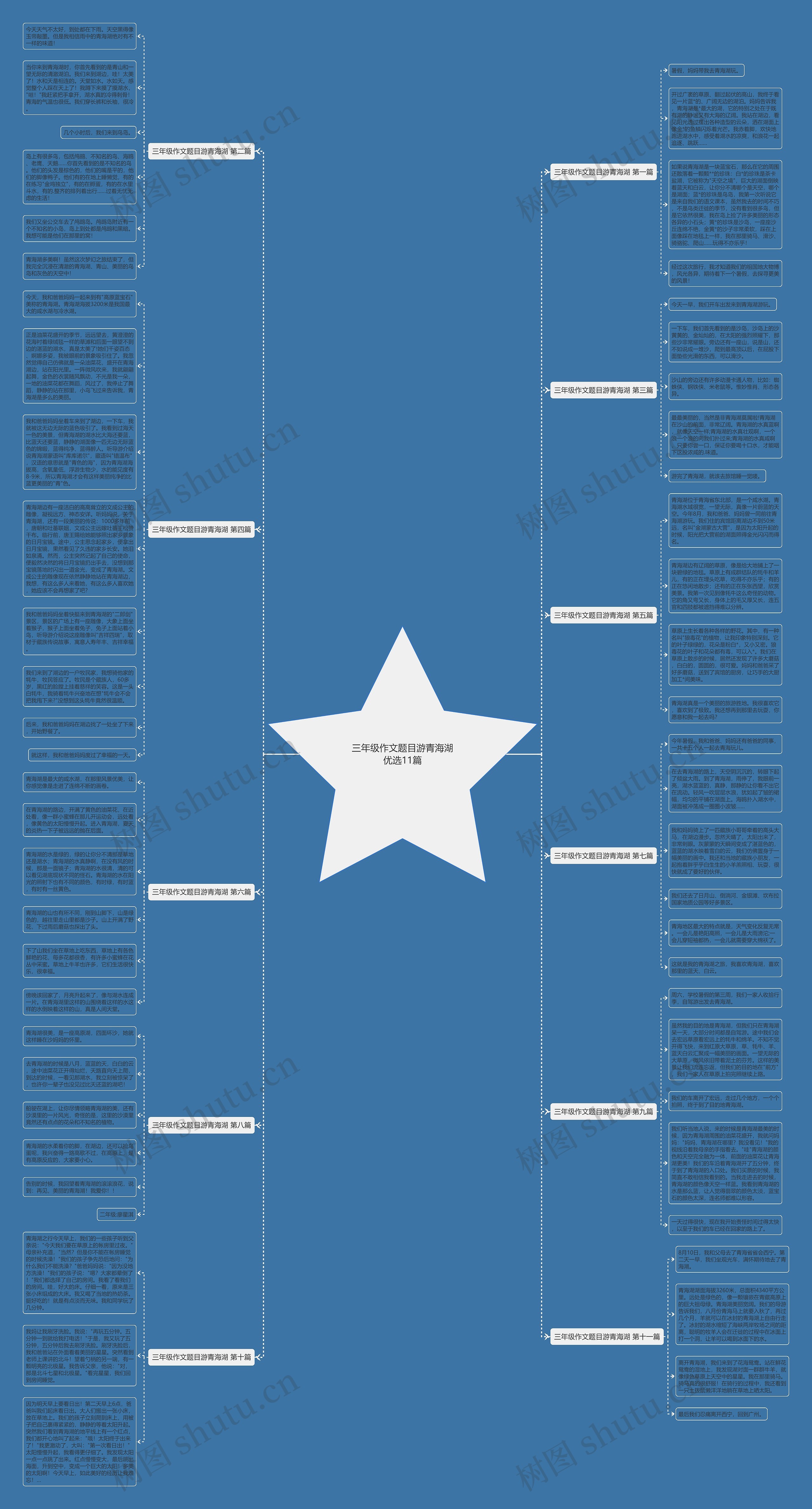 三年级作文题目游青海湖优选11篇思维导图