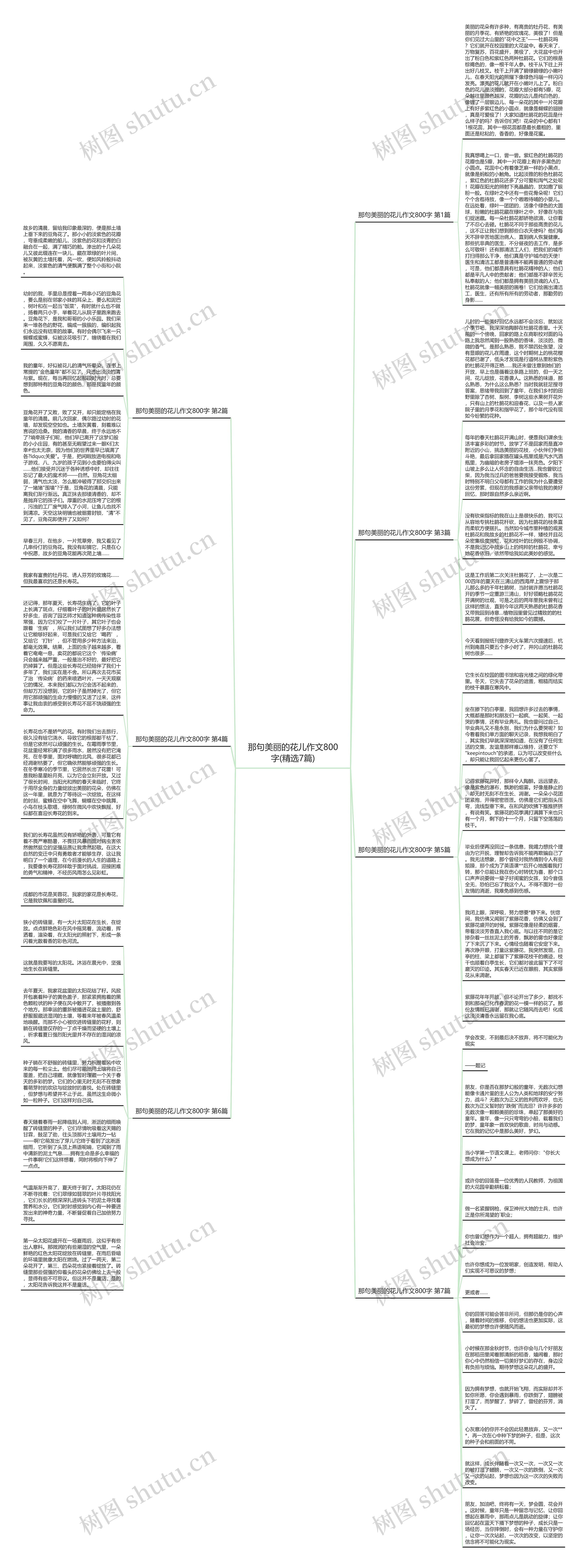 那句美丽的花儿作文800字(精选7篇)思维导图