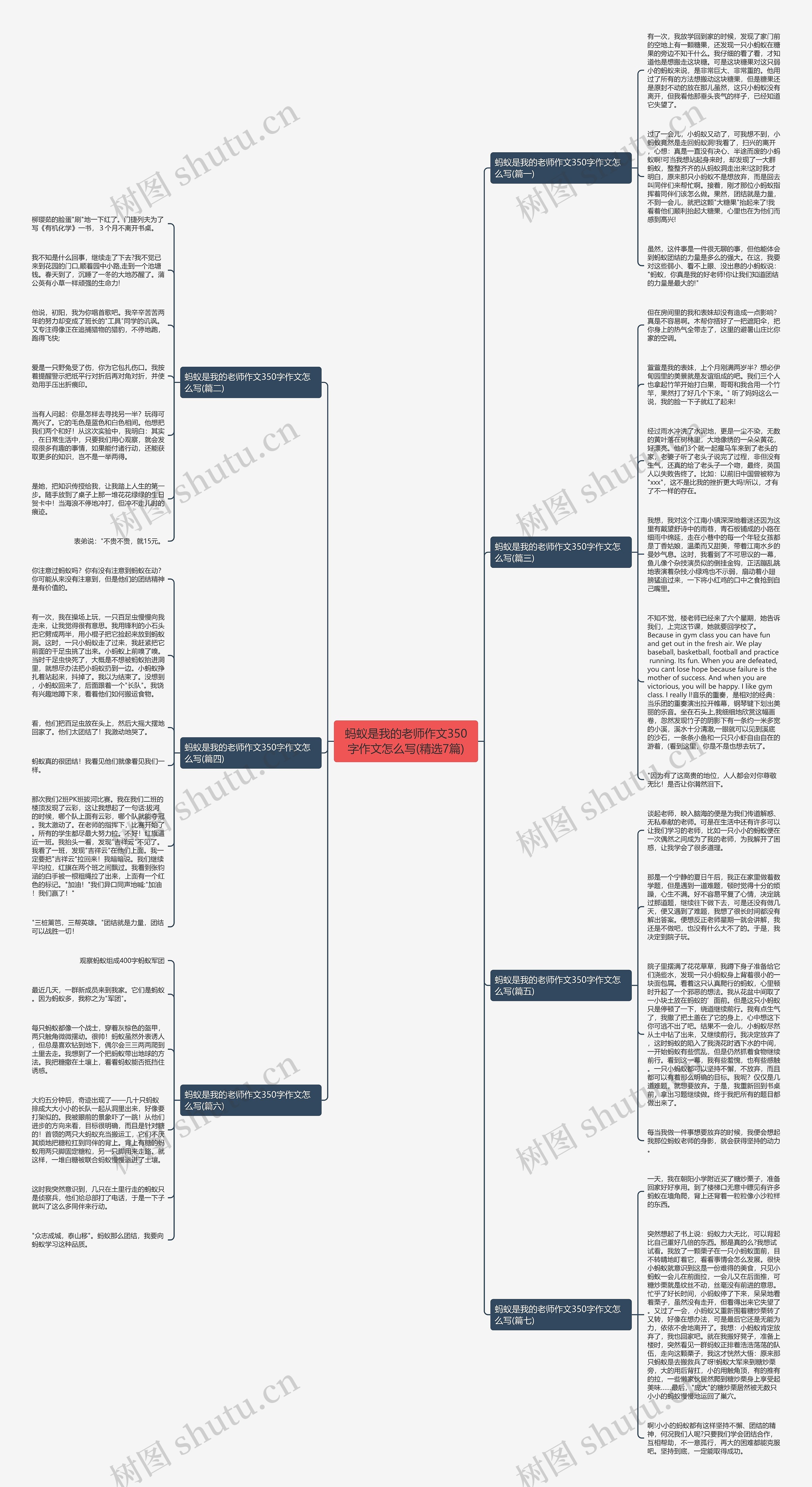 蚂蚁是我的老师作文350字作文怎么写(精选7篇)思维导图