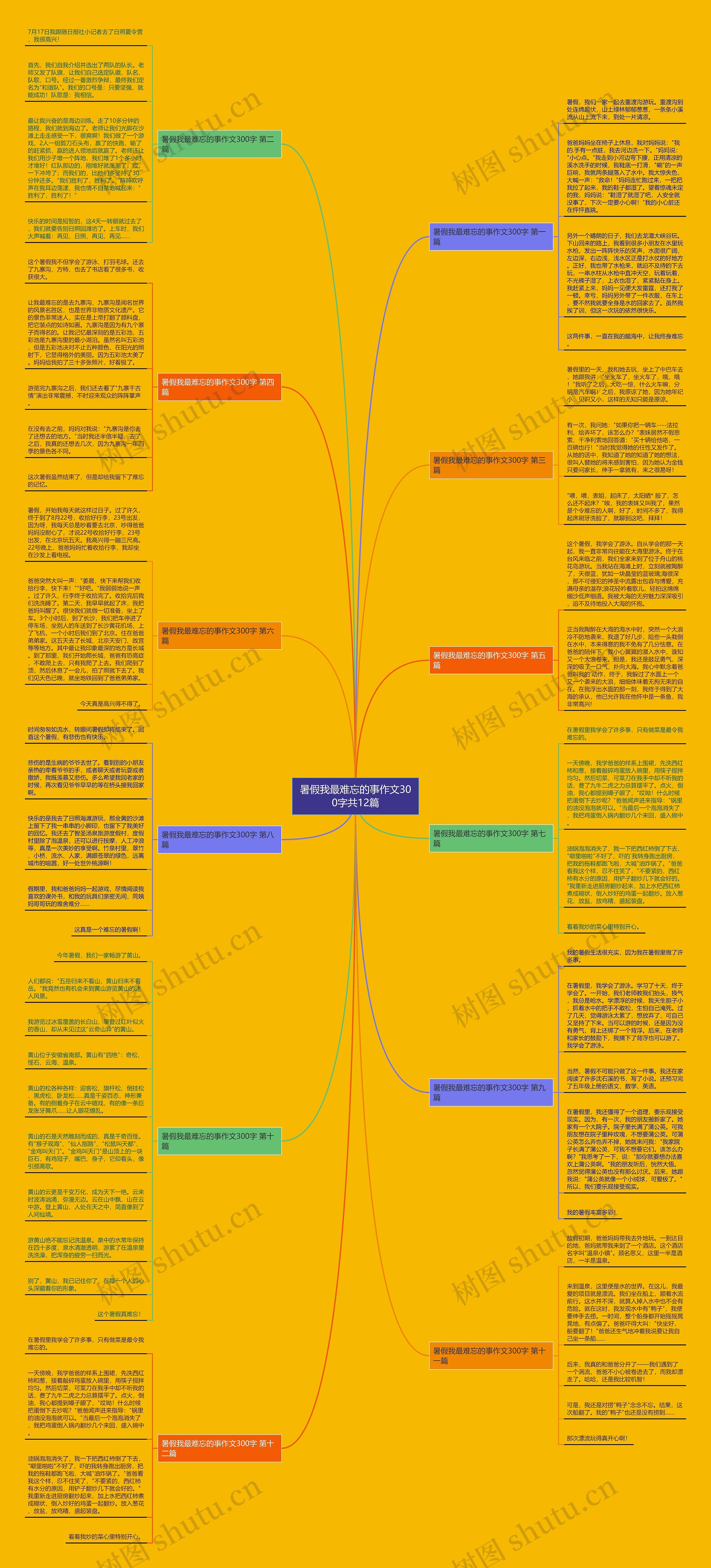 暑假我最难忘的事作文300字共12篇思维导图