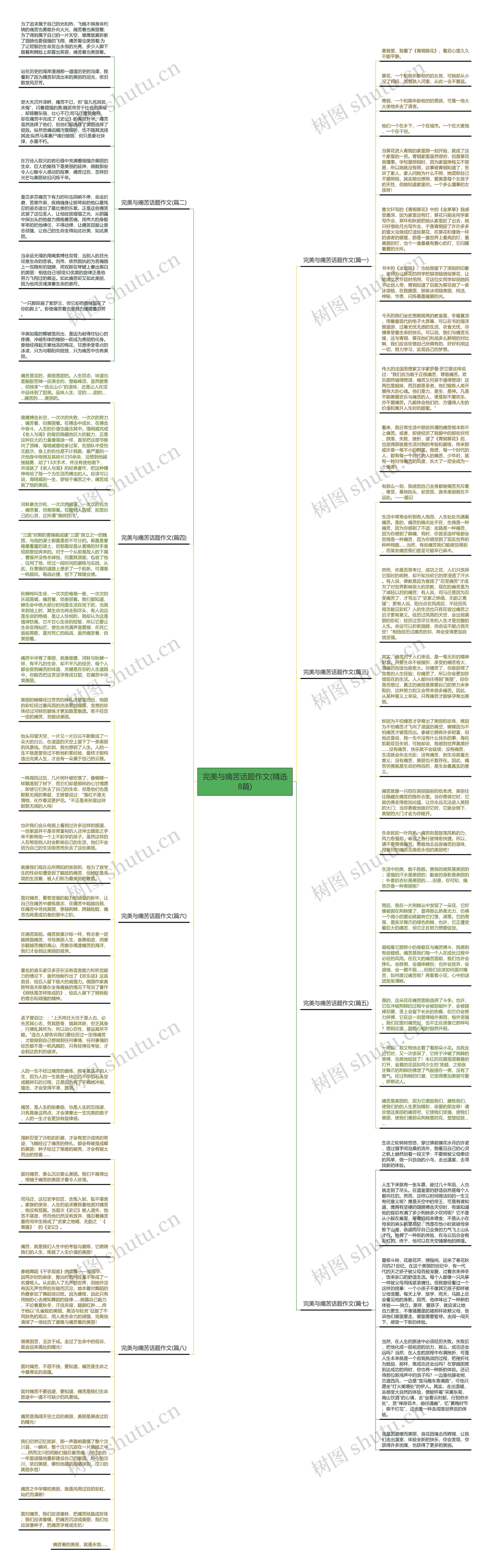 完美与痛苦话题作文(精选8篇)思维导图