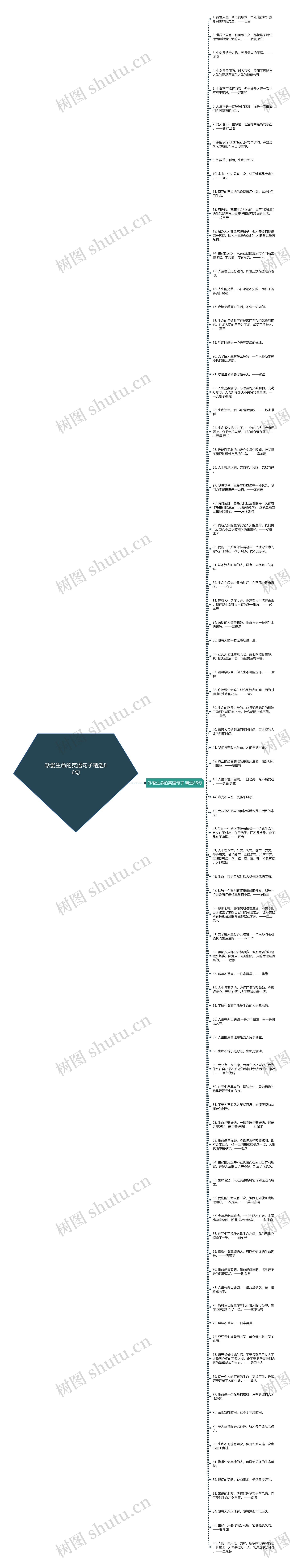 珍爱生命的英语句子精选86句思维导图