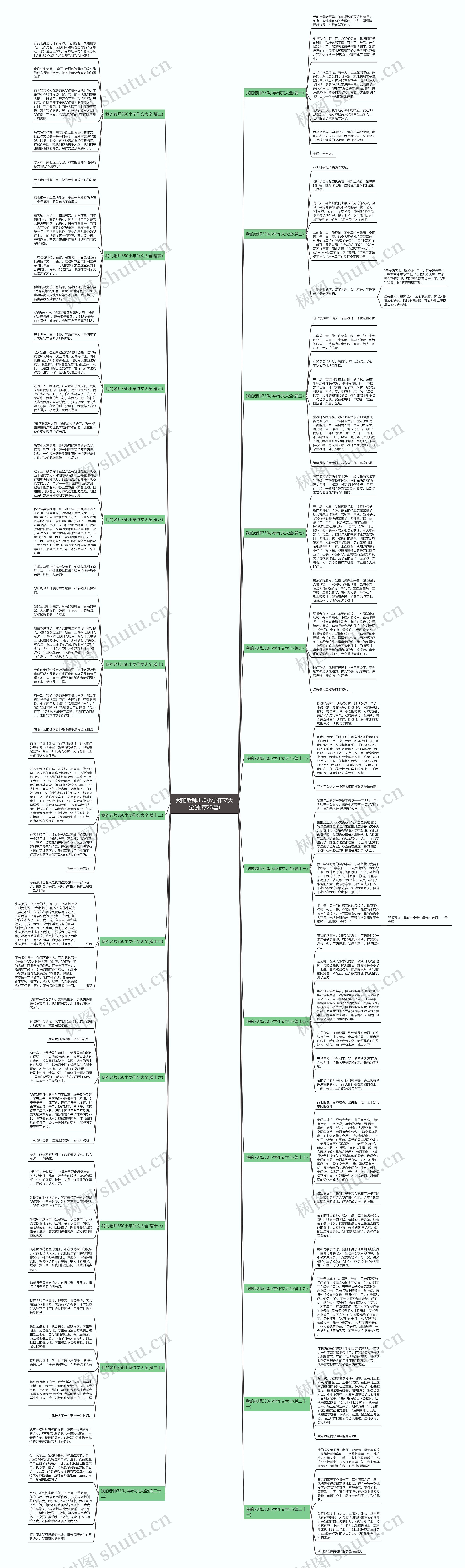 我的老师350小学作文大全(推荐23篇)