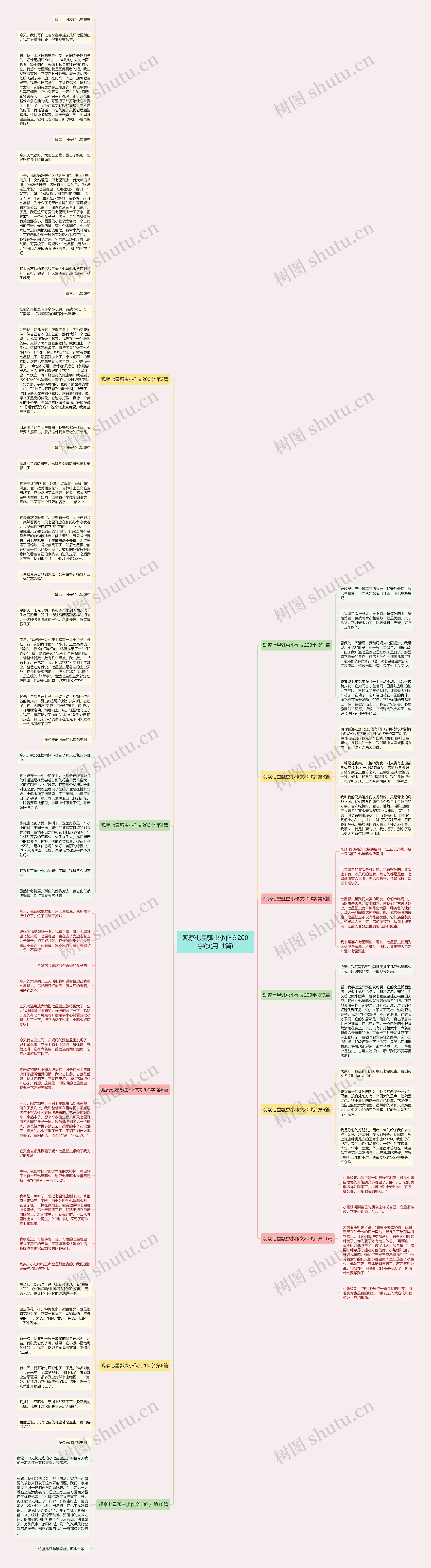 观察七星瓢虫小作文200字(实用11篇)思维导图