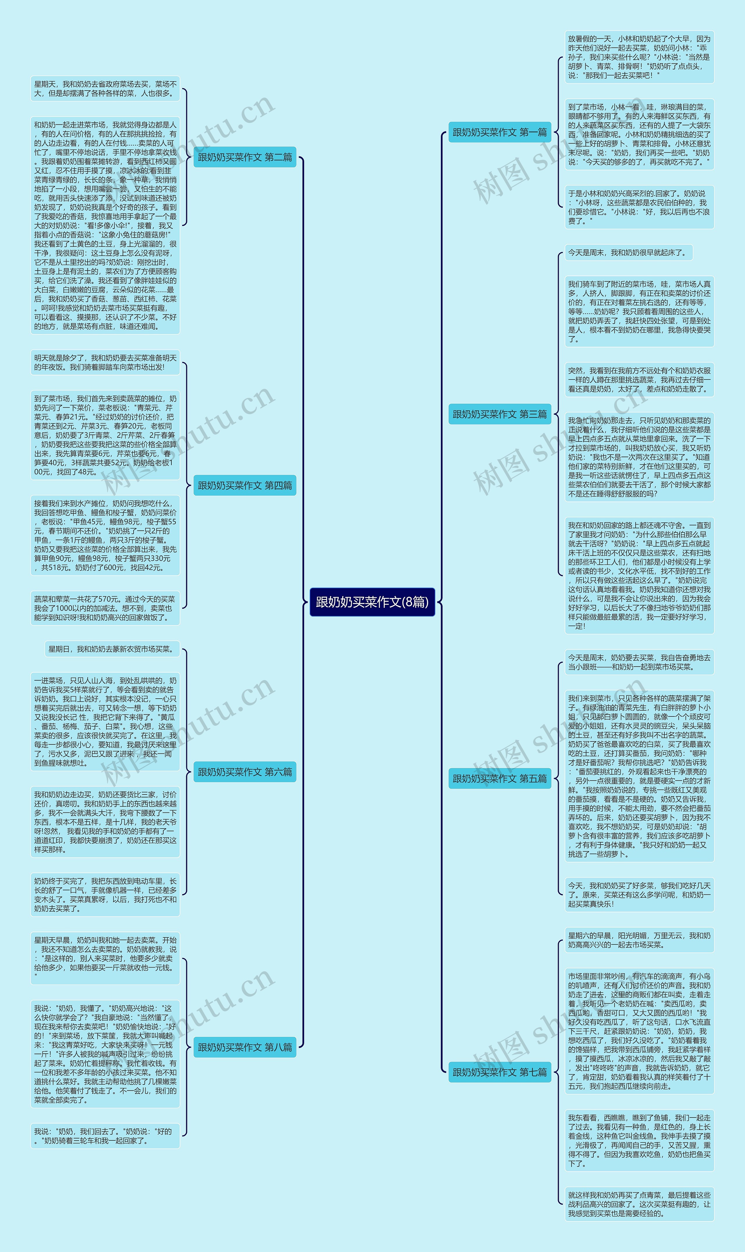 跟奶奶买菜作文(8篇)思维导图