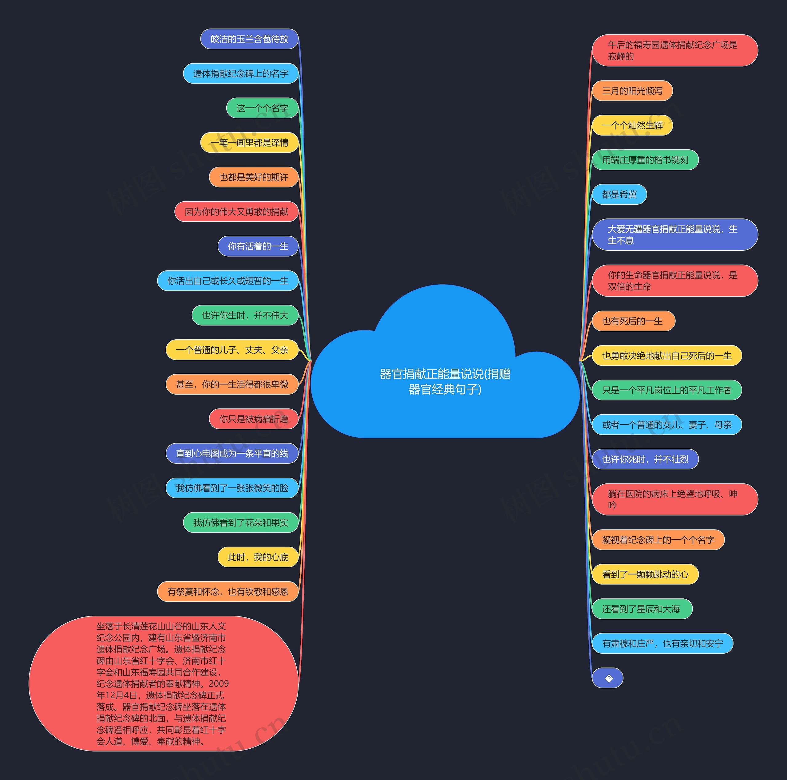器官捐献正能量说说(捐赠器官经典句子) 器官捐献正能量说说(捐赠器官经典句子)