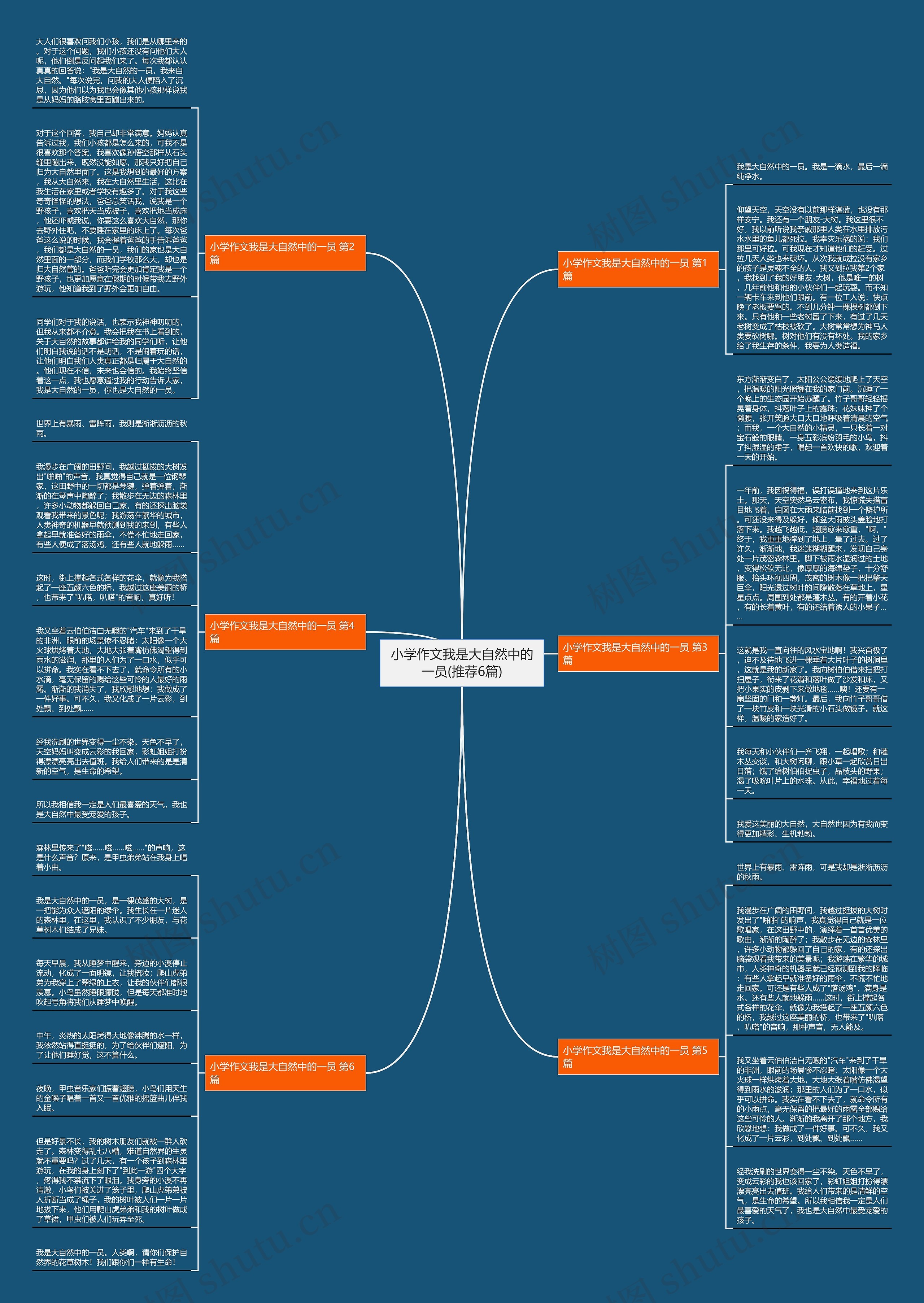 小学作文我是大自然中的一员(推荐6篇)思维导图