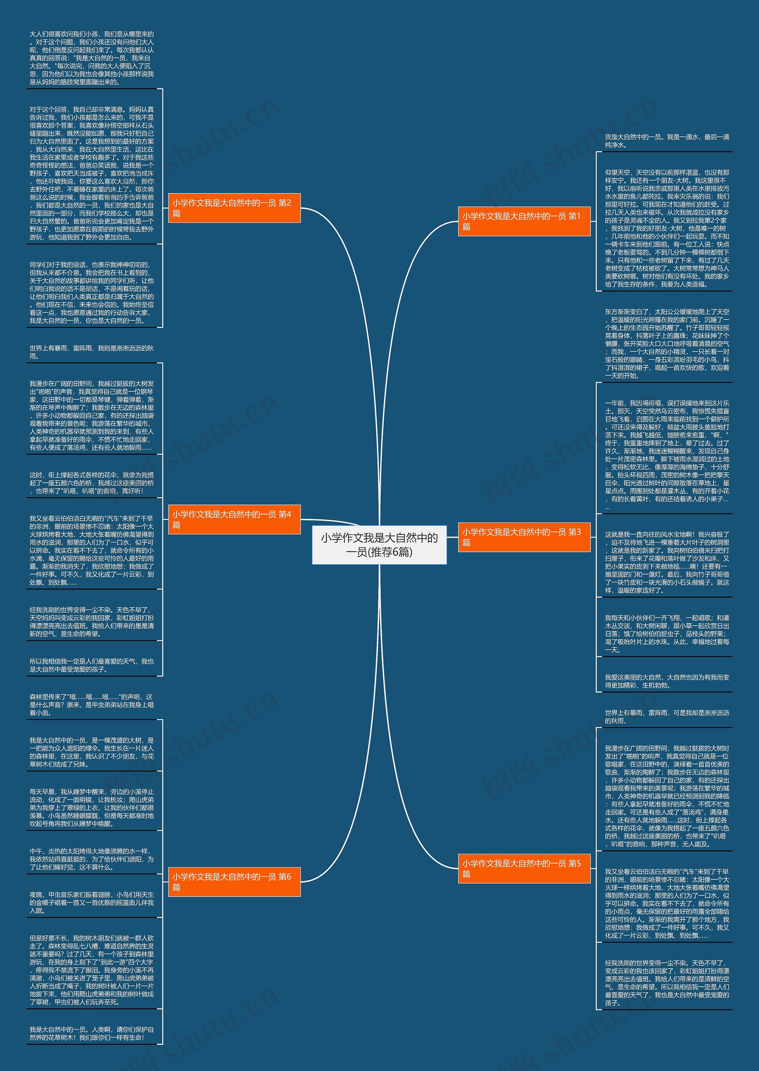 小学作文我是大自然中的一员(推荐6篇) 小学作文我是大自然中的一员(推荐6篇)