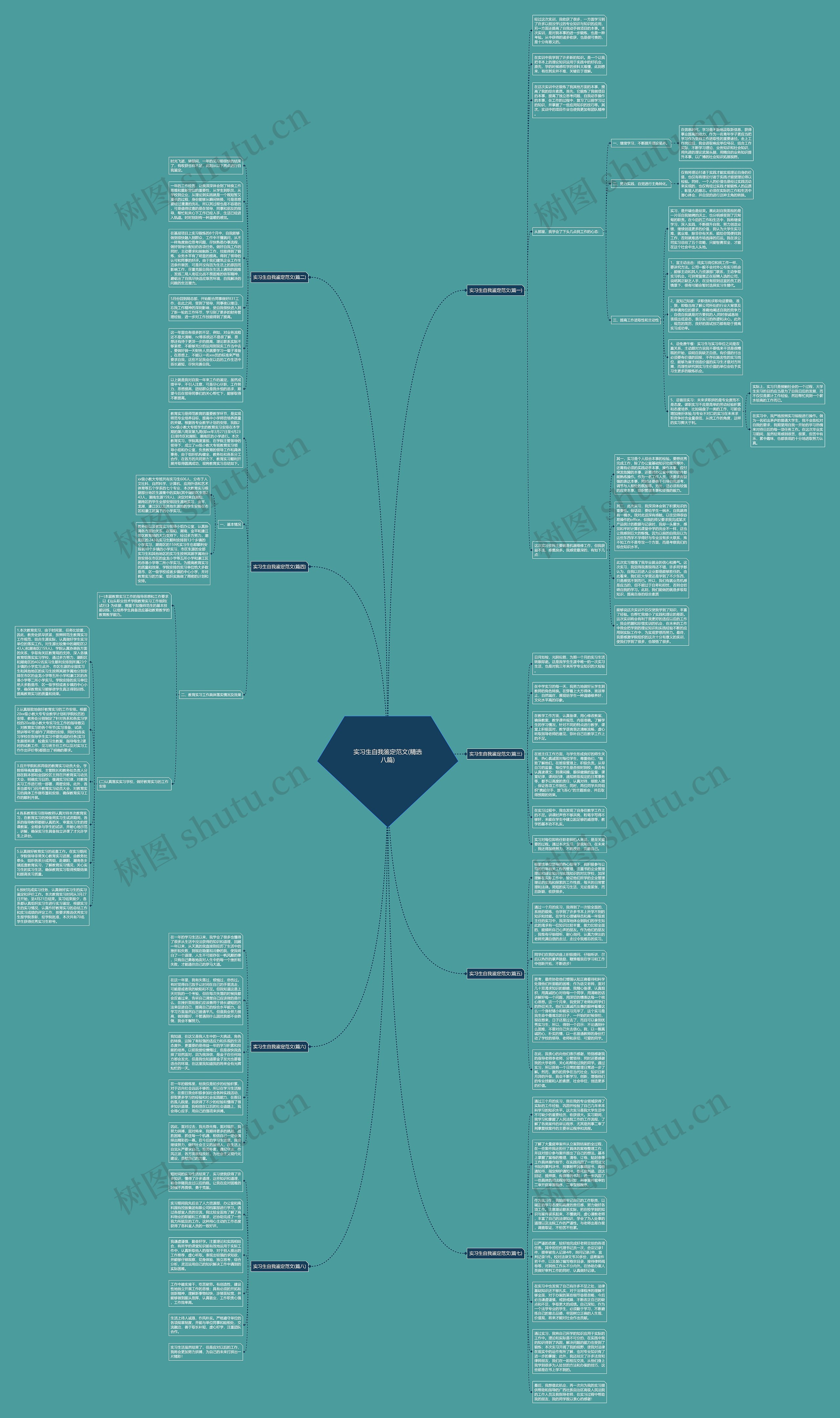 实习生自我鉴定范文(精选八篇)思维导图