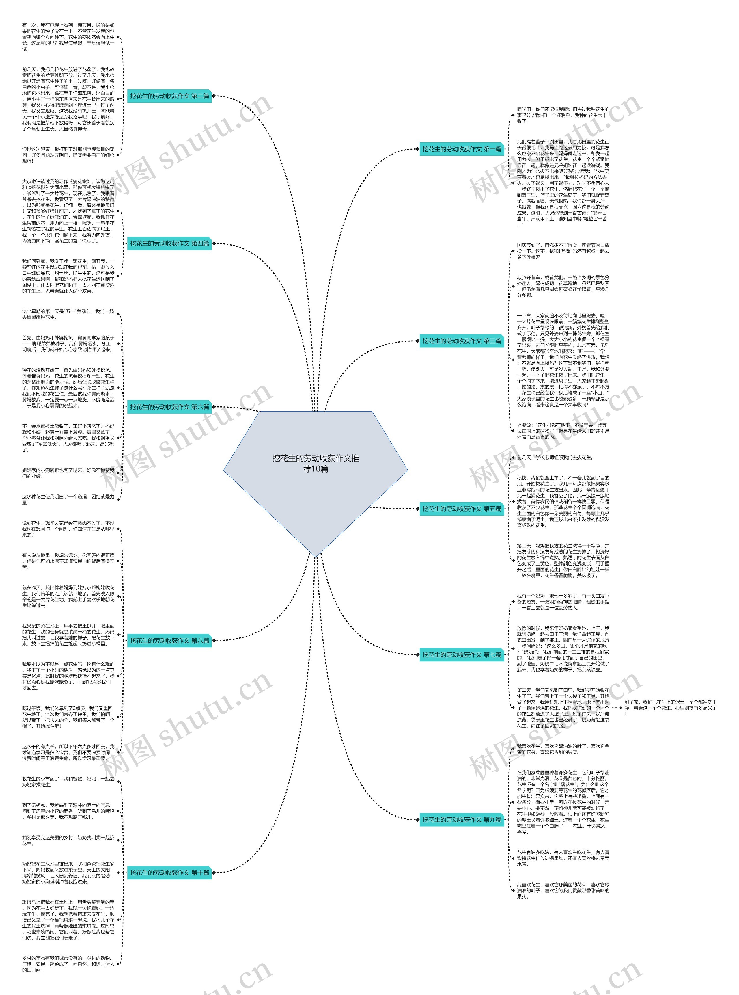 挖花生的劳动收获作文推荐10篇思维导图