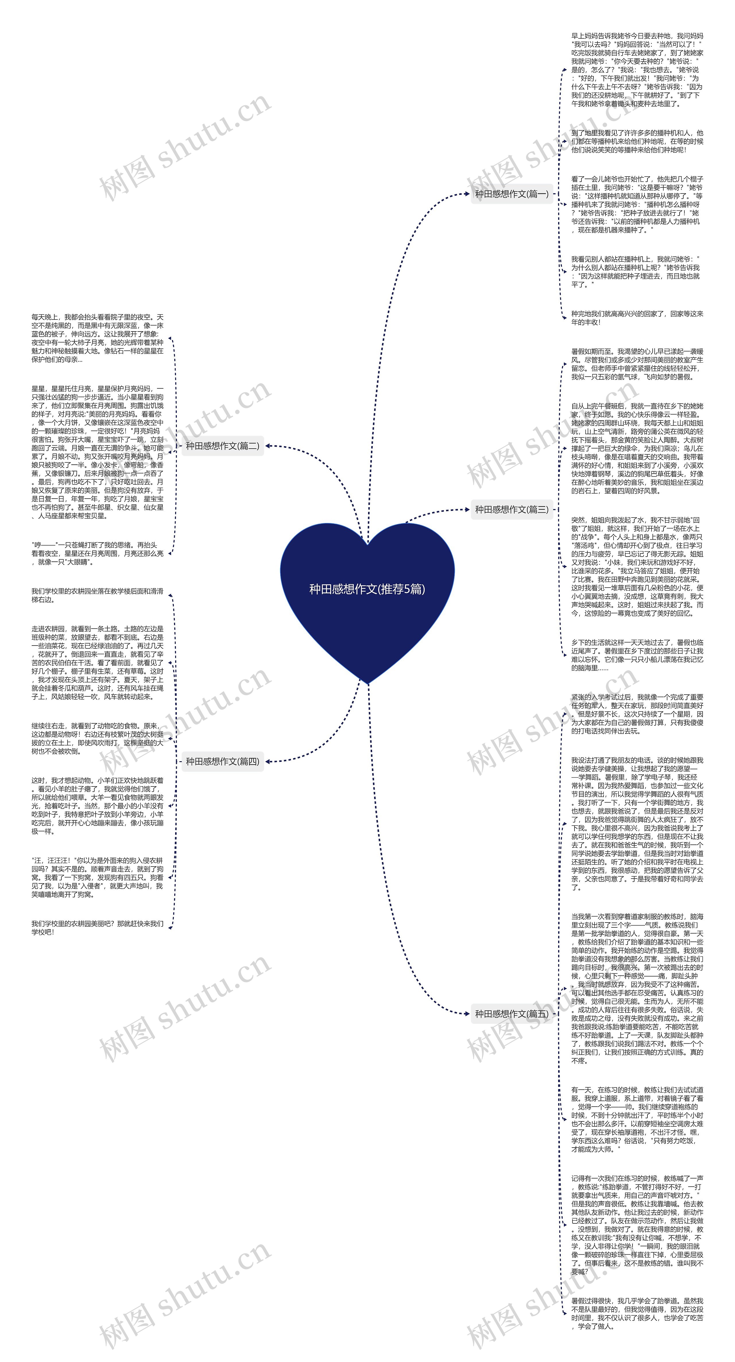 种田感想作文(推荐5篇)思维导图
